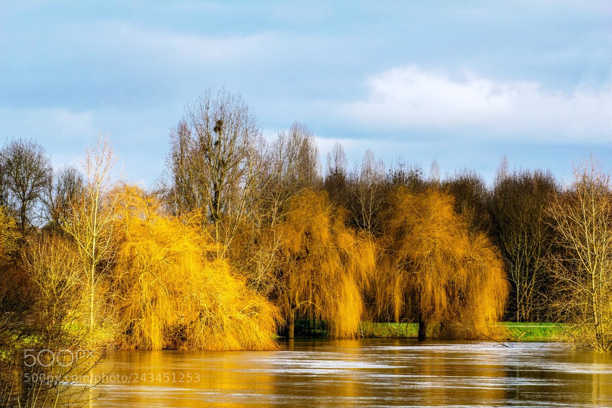 Canon EOS 60D sample photo. La mont e des photography