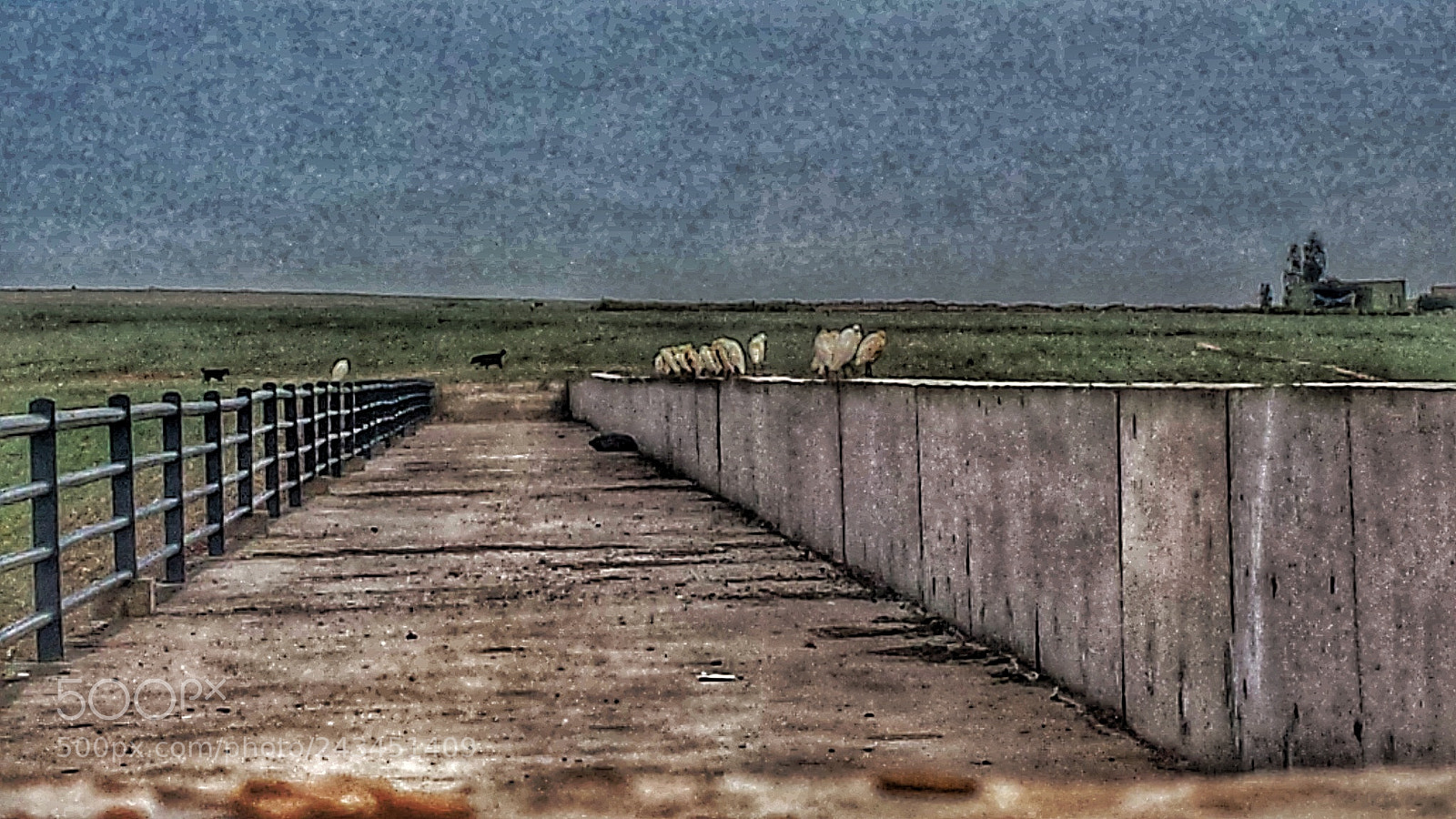 Samsung Galaxy S4 sample photo. Road photography