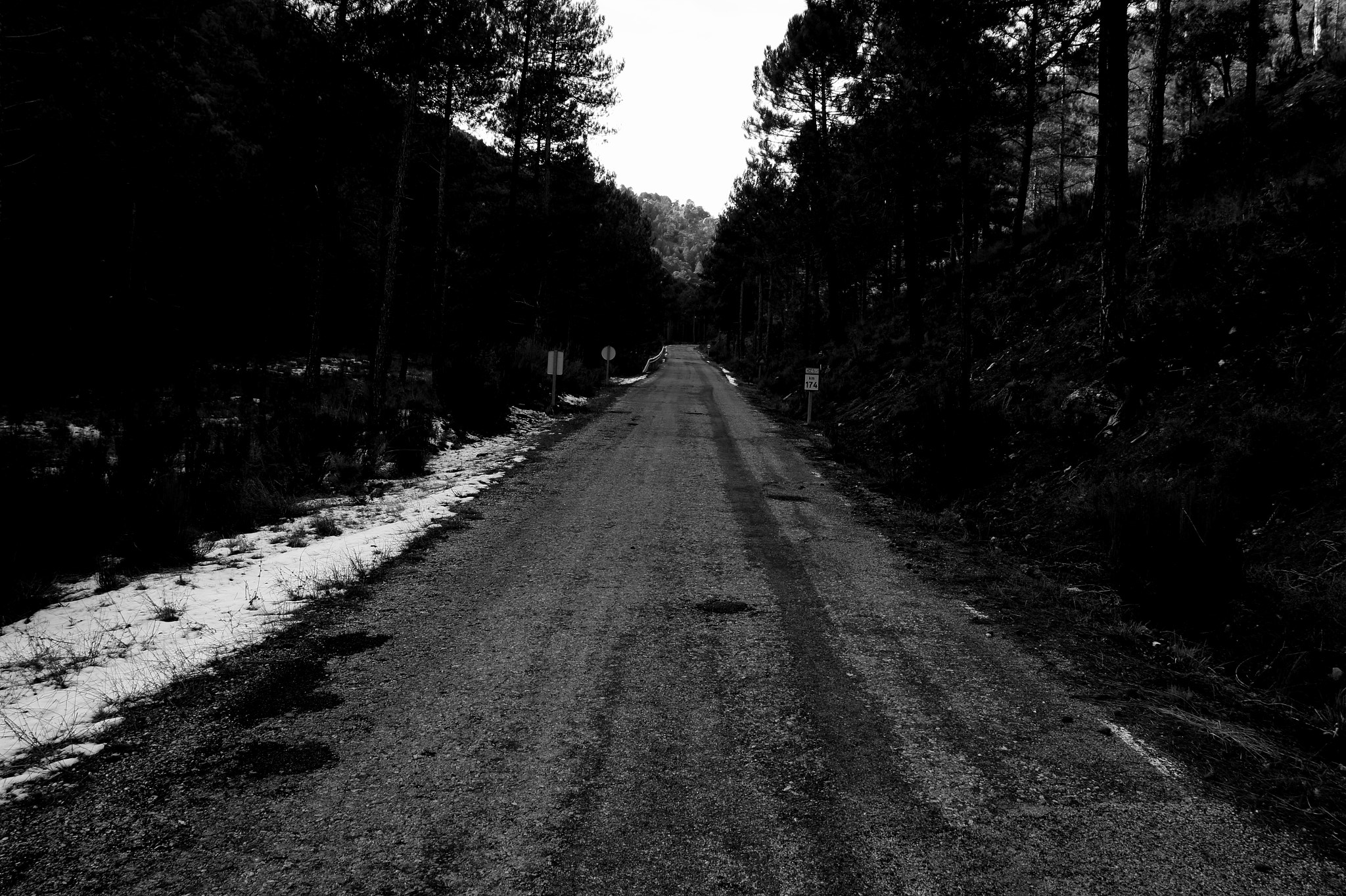 Canon EOS 650D (EOS Rebel T4i / EOS Kiss X6i) sample photo. Camino photography