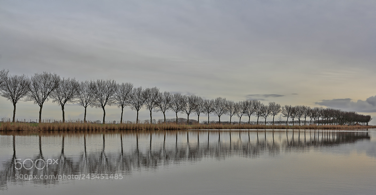 Canon EOS 60D sample photo. An endless row of photography