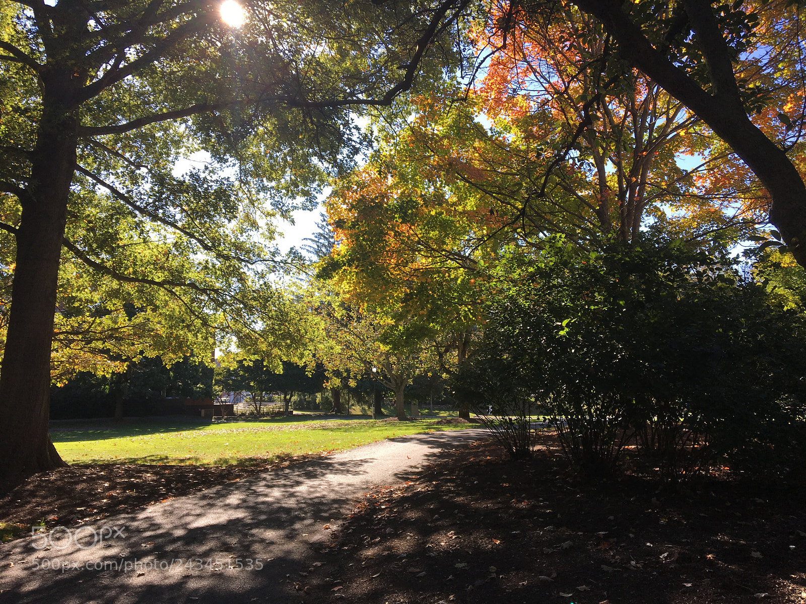 Apple iPhone 6s sample photo. Campus lighting photography
