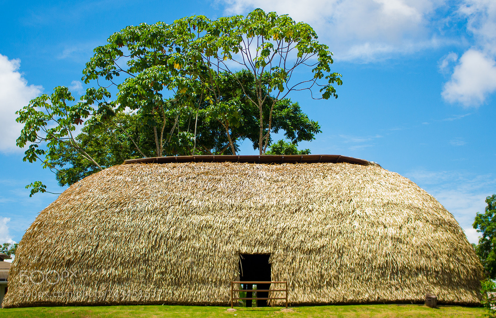 Canon EOS 700D (EOS Rebel T5i / EOS Kiss X7i) sample photo. An amazon indigenious hut photography