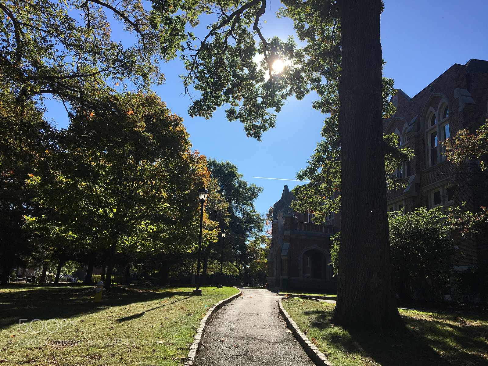 Apple iPhone 6s sample photo. Sunlit sidewalk photography