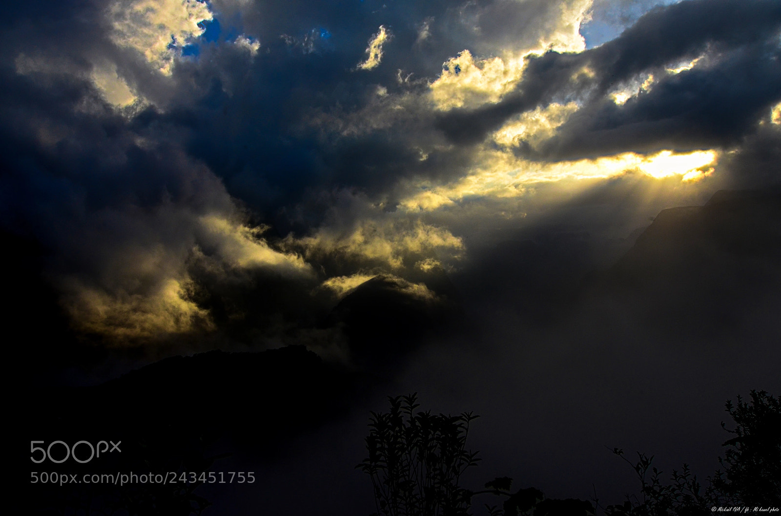Nikon D5100 sample photo. Le soleil donne... photography