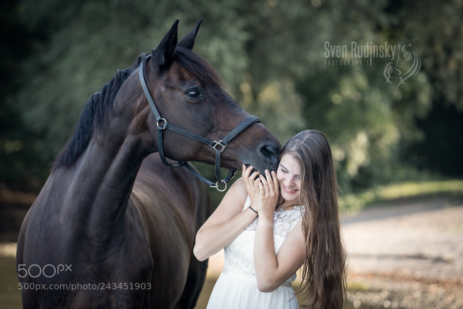 Sony a9 sample photo. Beauty horse foto-shooting photography