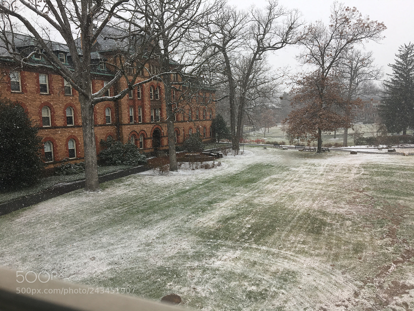 Apple iPhone 6s sample photo. Snow flurry photography