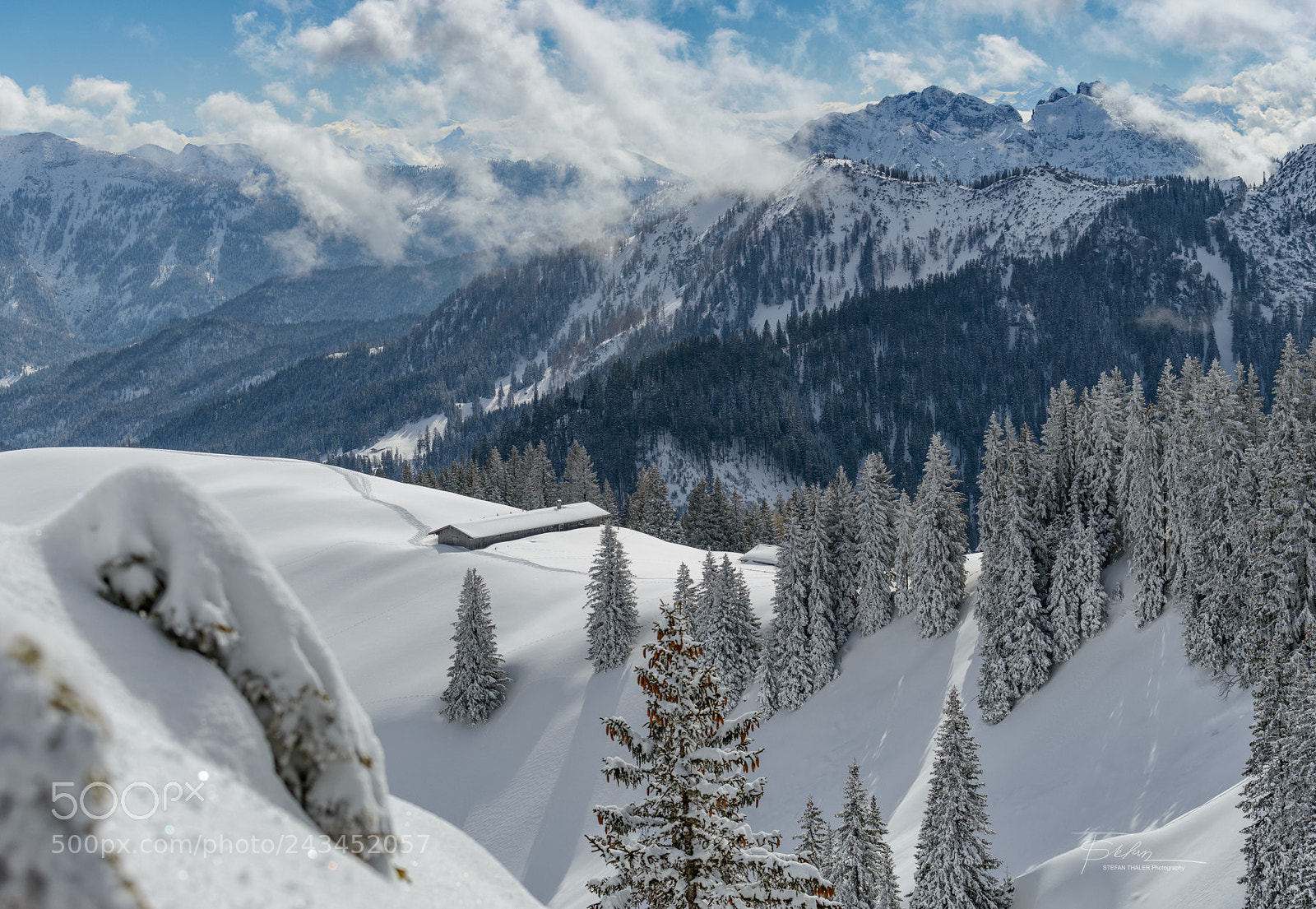 Nikon D800 sample photo. Simple winter shot photography