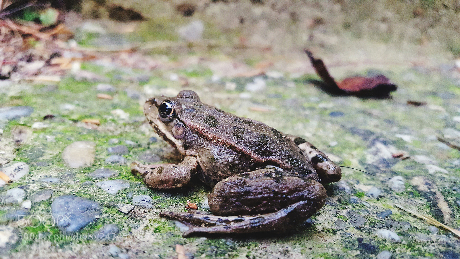 Samsung GALAXY S6 edge sample photo. Untitled photography