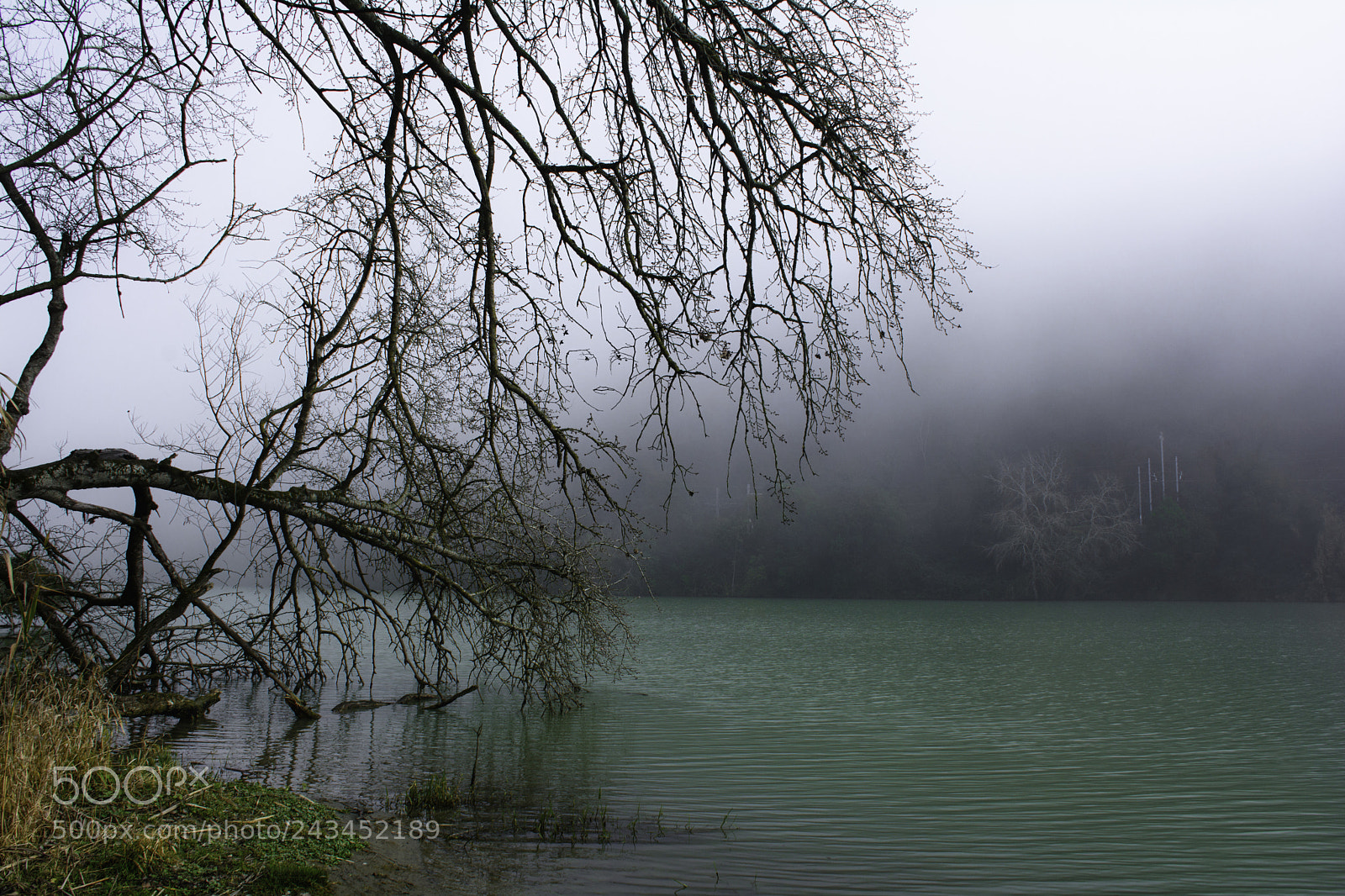 Nikon D7100 sample photo. Il volto della natura photography