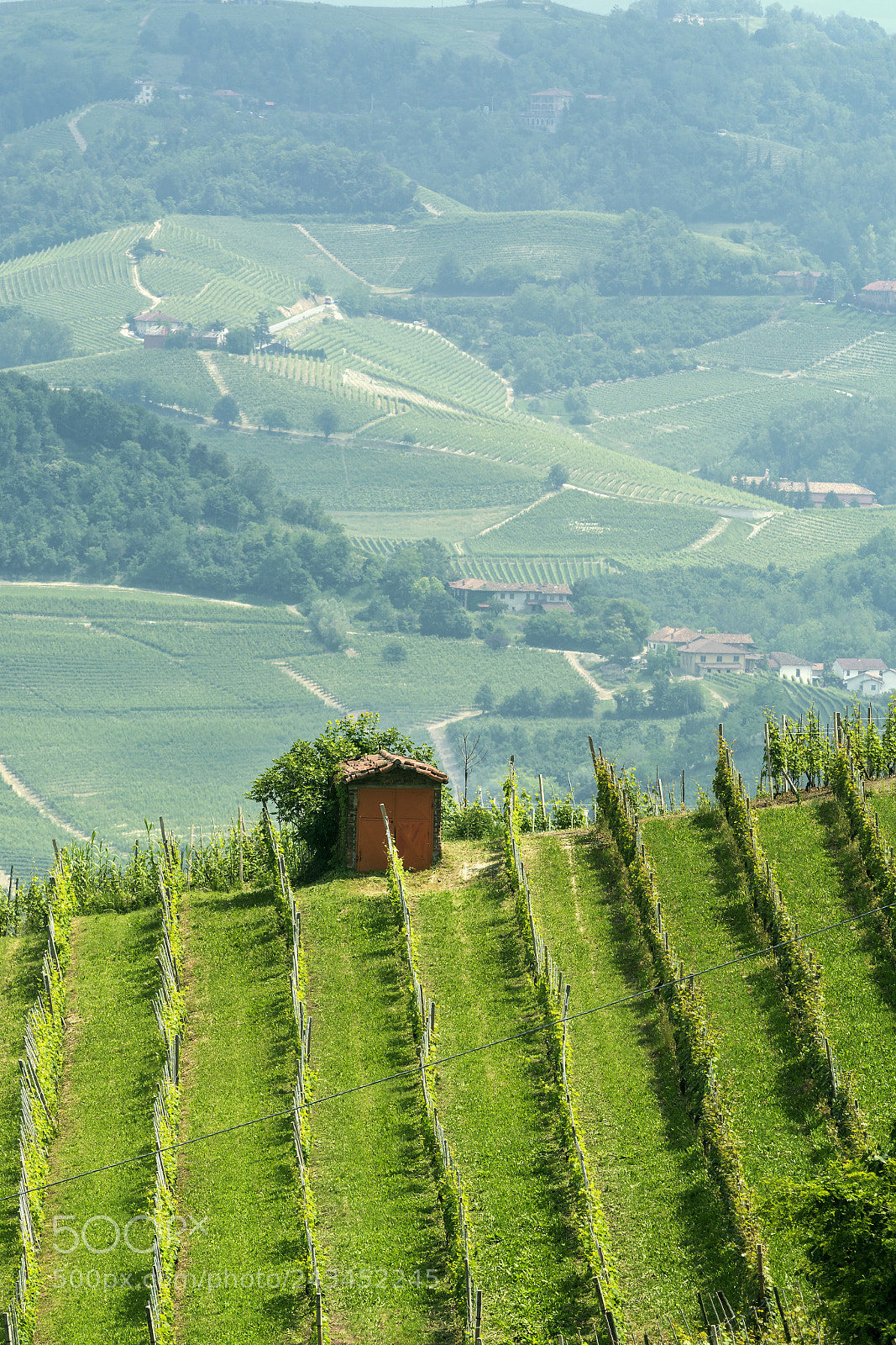 Nikon D7100 sample photo. Landscape in langhe (piedmont) photography