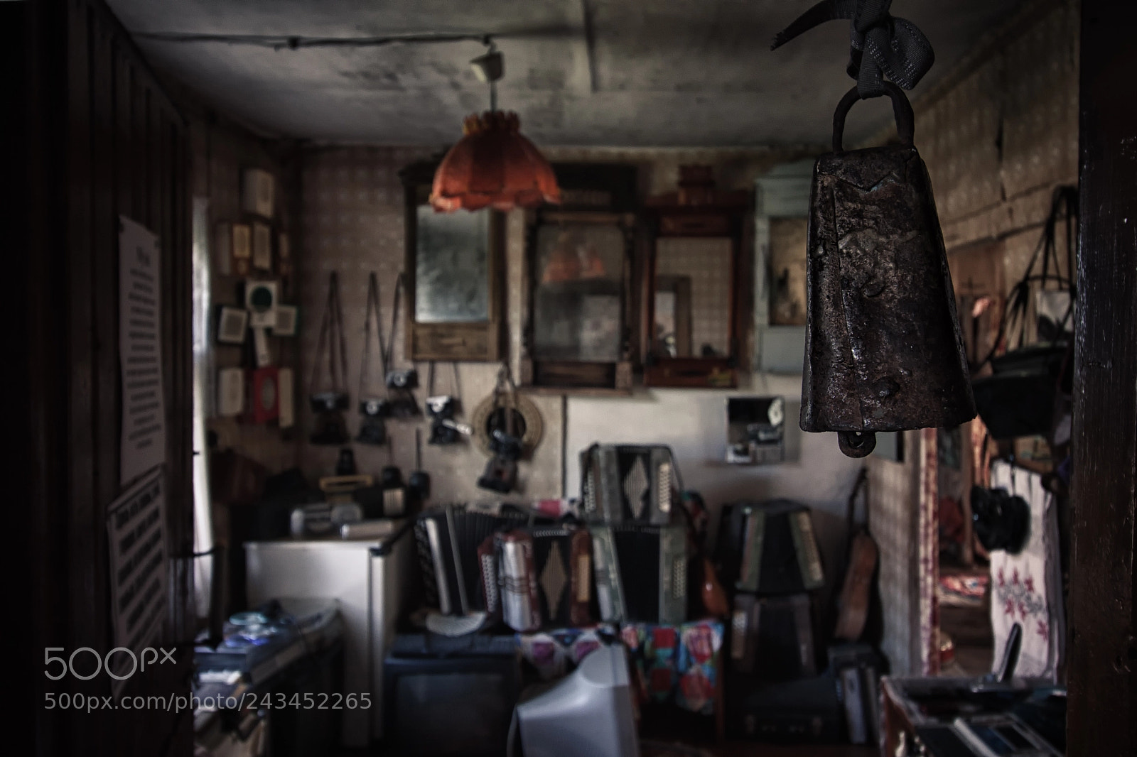 Canon EOS 50D sample photo. Cow bell photography