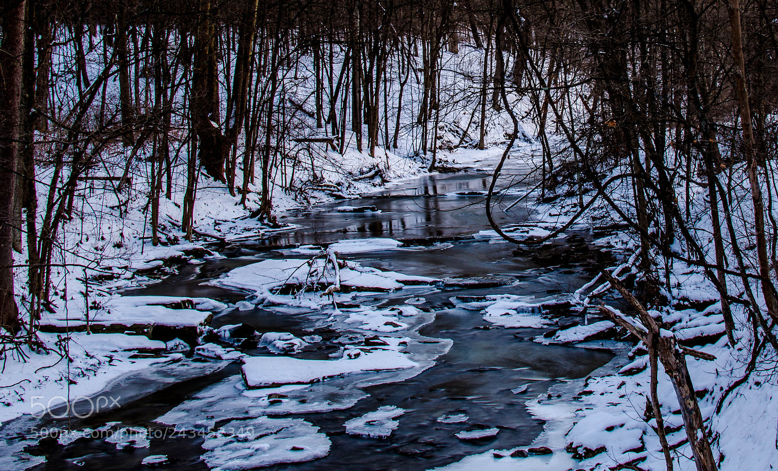 Nikon D5100 sample photo. Mingo creek winter photography