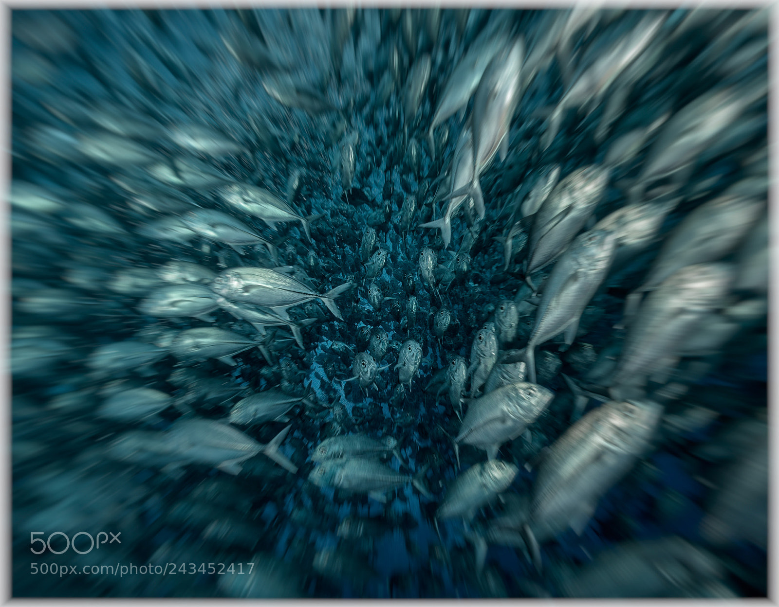 Nikon D800E sample photo. Speed rush photography