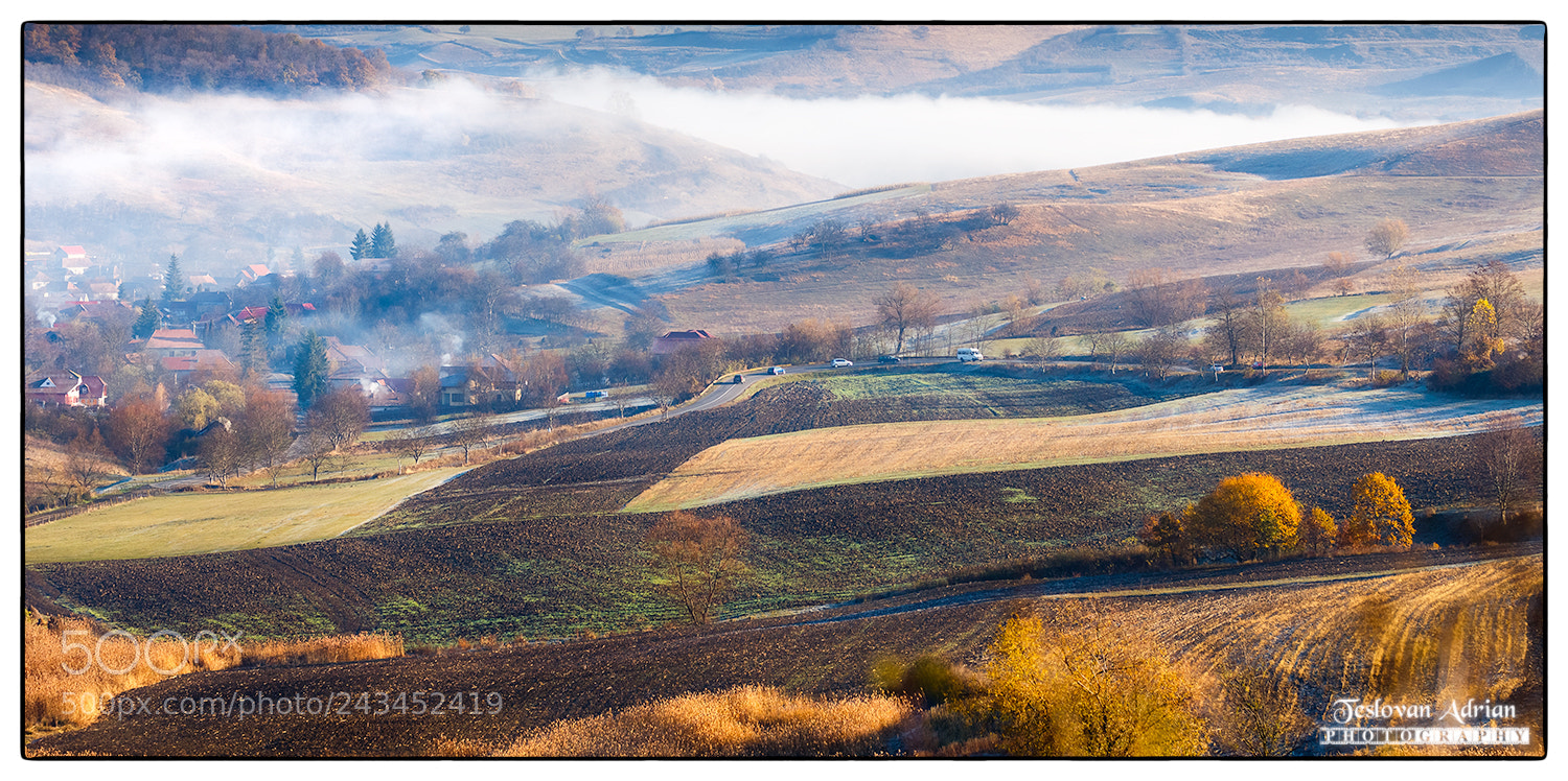 Canon EOS 7D Mark II sample photo. Foggy photography