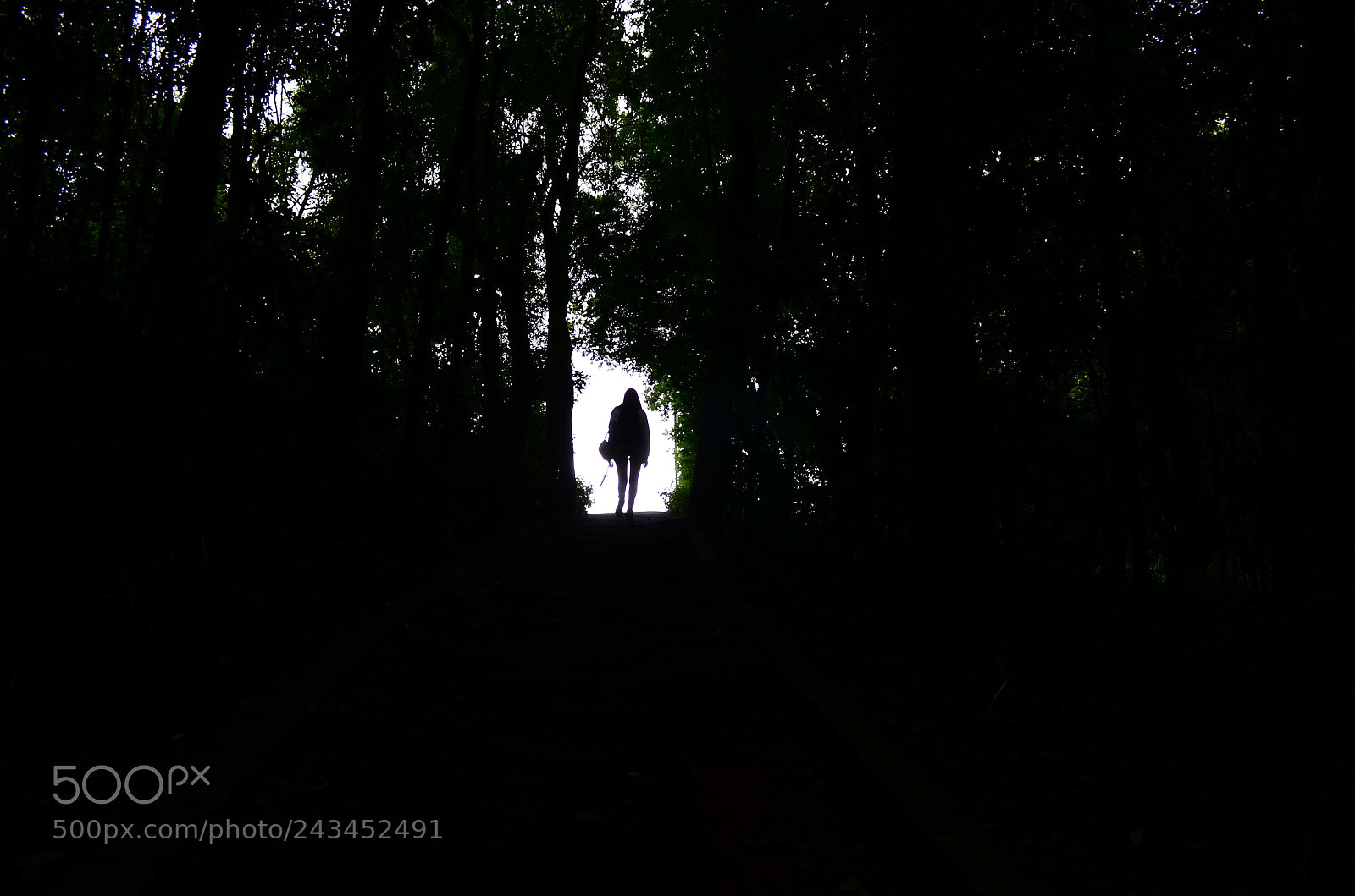 Nikon D5100 sample photo. Woman on the woods 2 photography