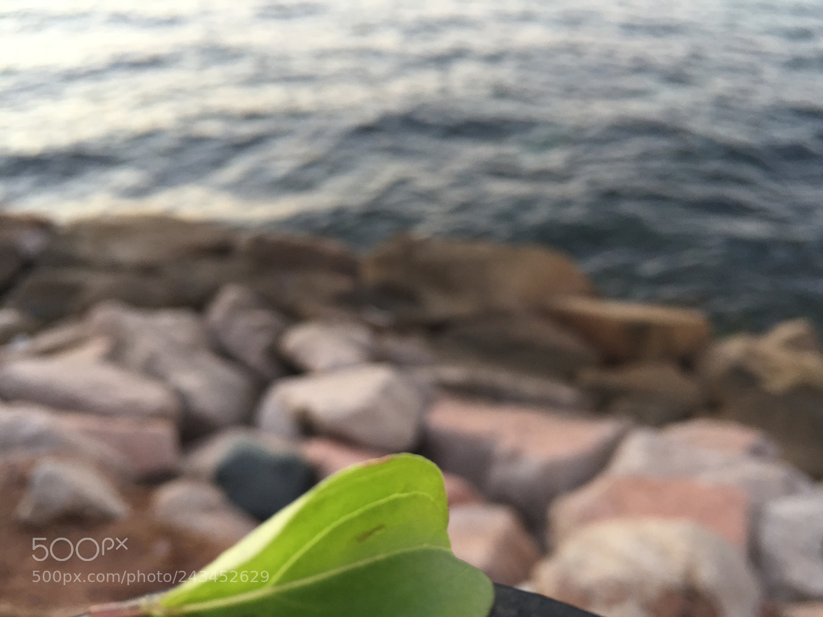 Apple iPhone 6 sample photo. Red sea.. photography