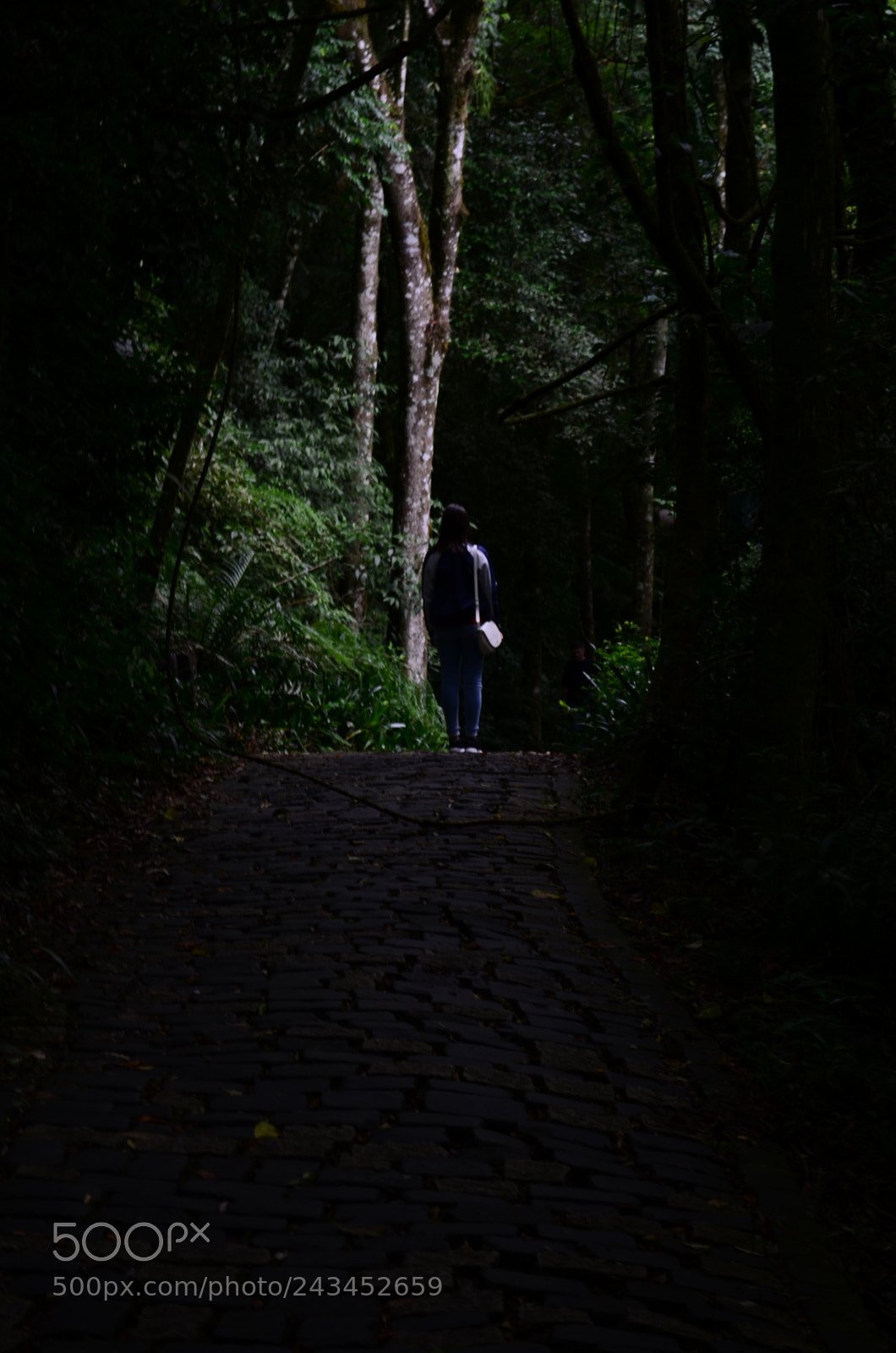 Nikon D5100 sample photo. Woman on the woods photography