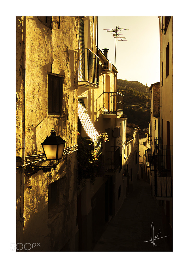 Nikon D7100 sample photo. Beas de segura photography