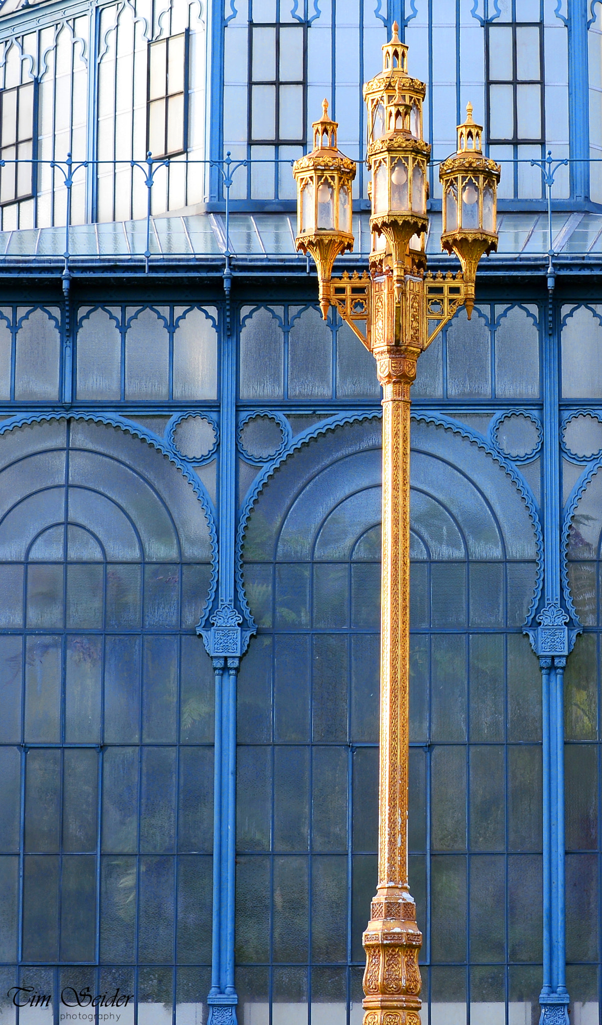 Nikon D610 sample photo. Golden lantern photography