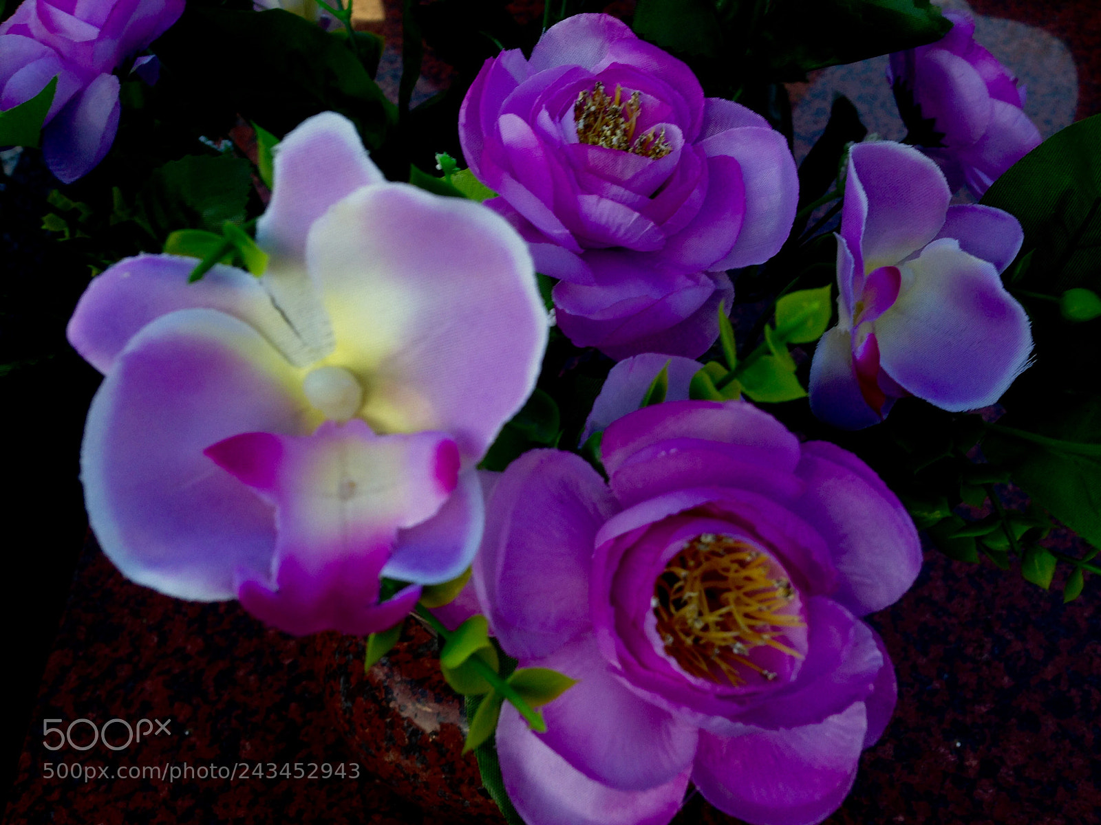 Apple iPhone 5 sample photo. Flowers for you.? photography