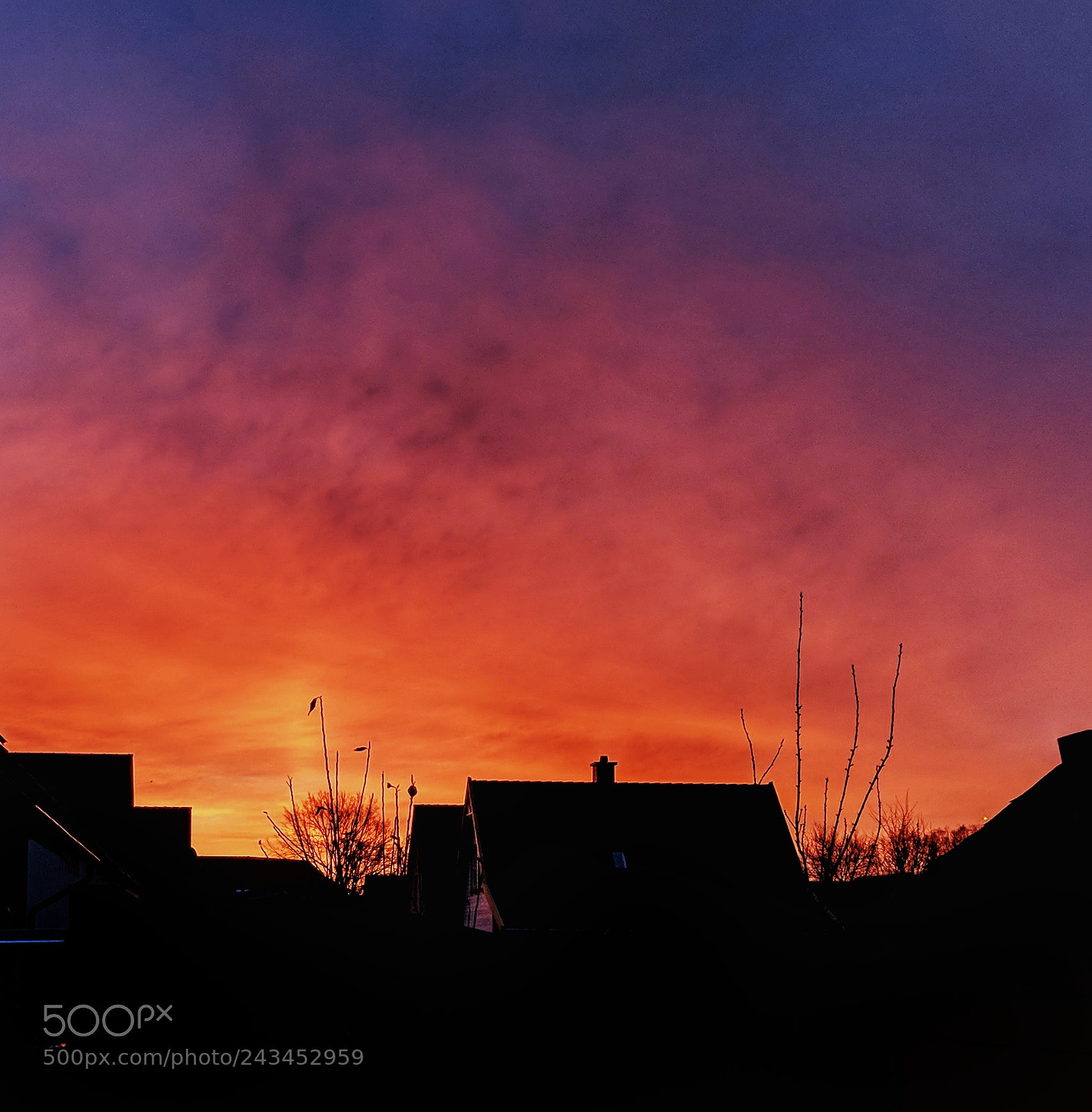 Google Pixel 2 XL sample photo. Sunrise in brandenburg photography