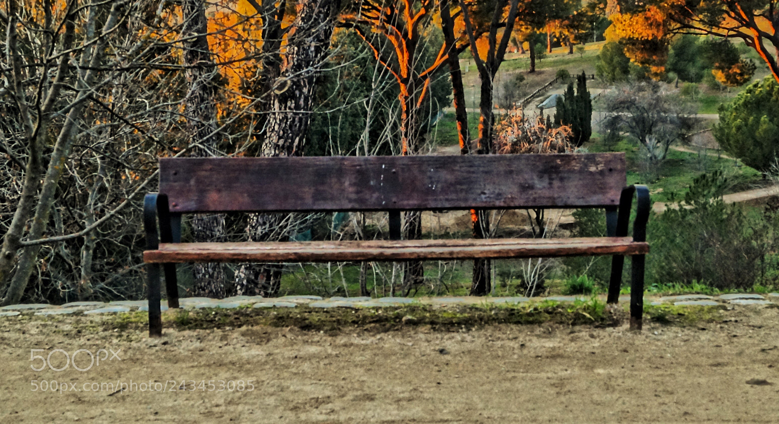 Sony SLT-A58 sample photo. Dehesa de la villa 20 photography