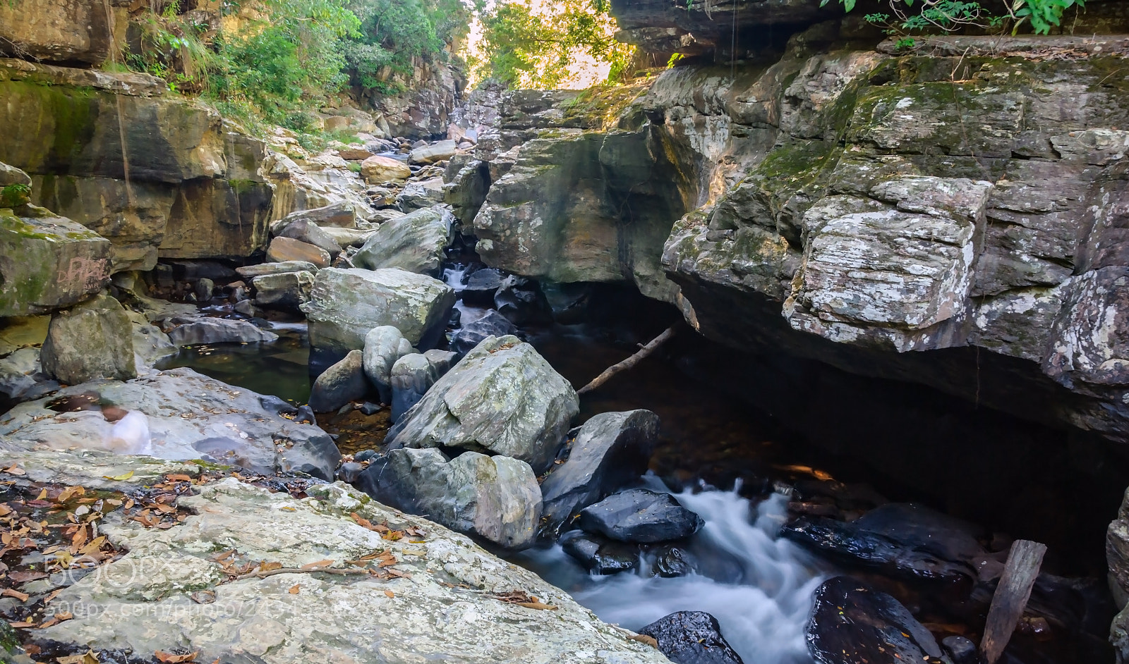 Nikon D80 sample photo. Flowing photography
