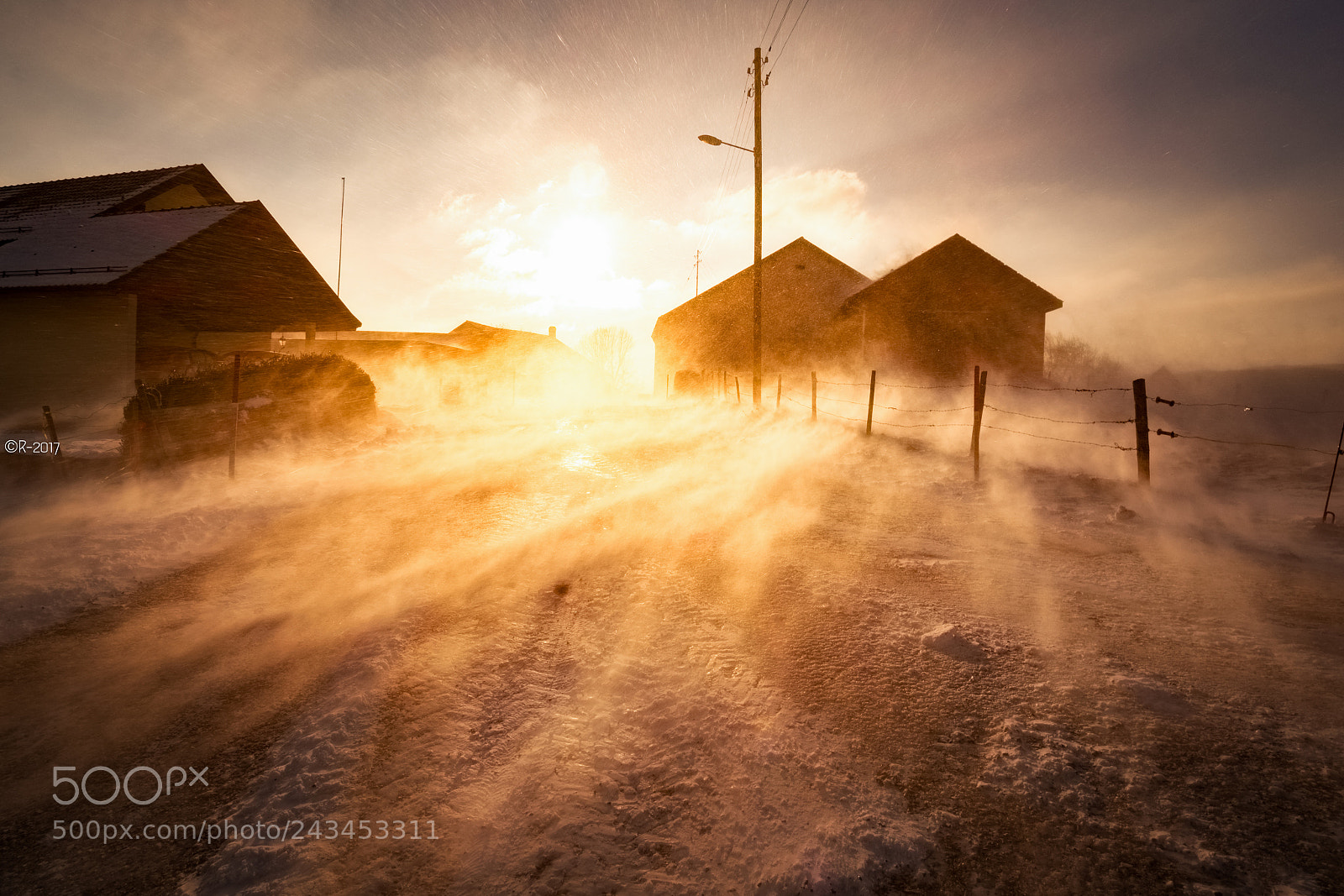 Fujifilm X-Pro1 sample photo. Flurry of fury photography