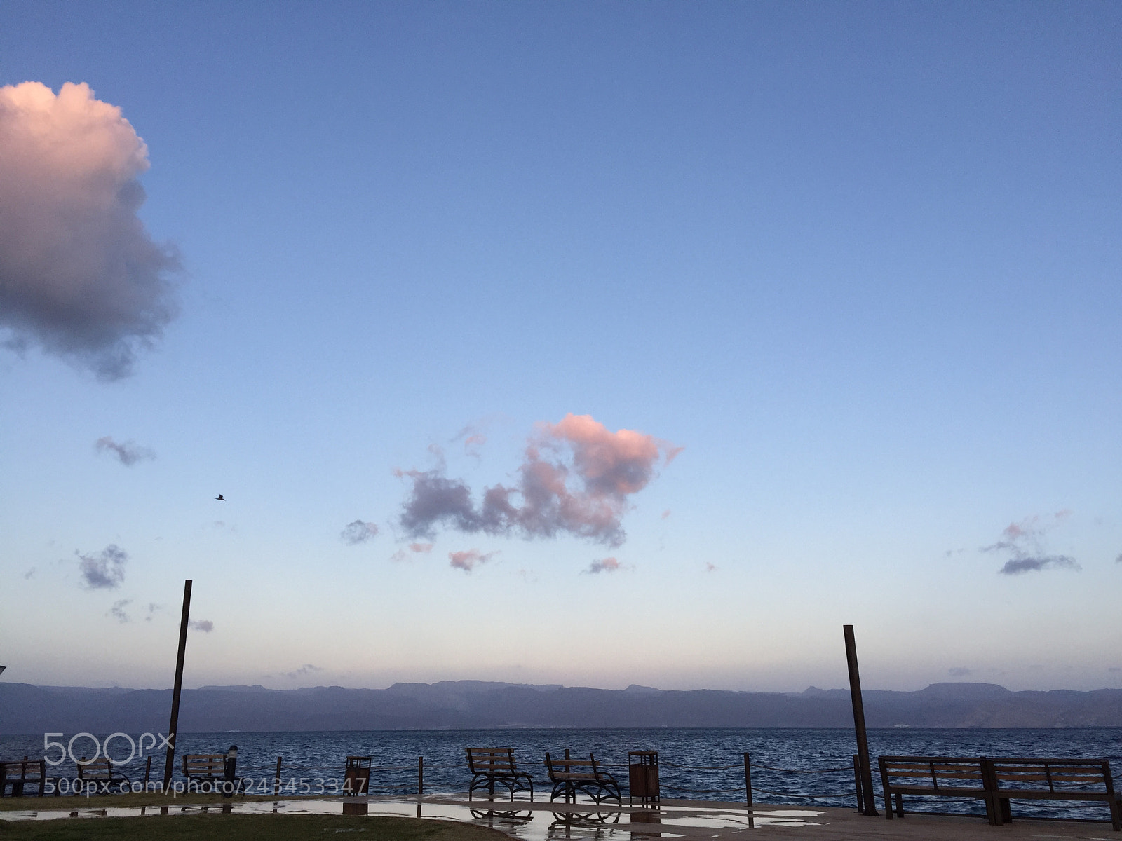Apple iPhone 6 sample photo. Best view photography