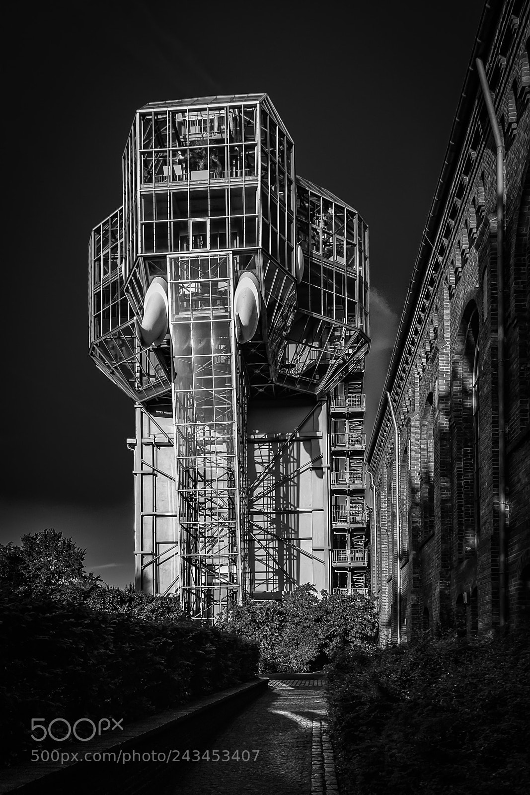 Nikon 1 V1 sample photo. The glass elephant in photography