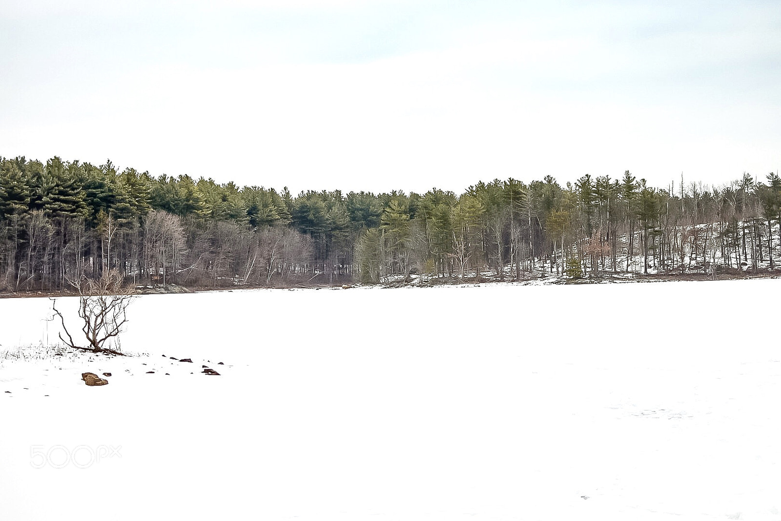 Nikon D7200 sample photo. Silence photography
