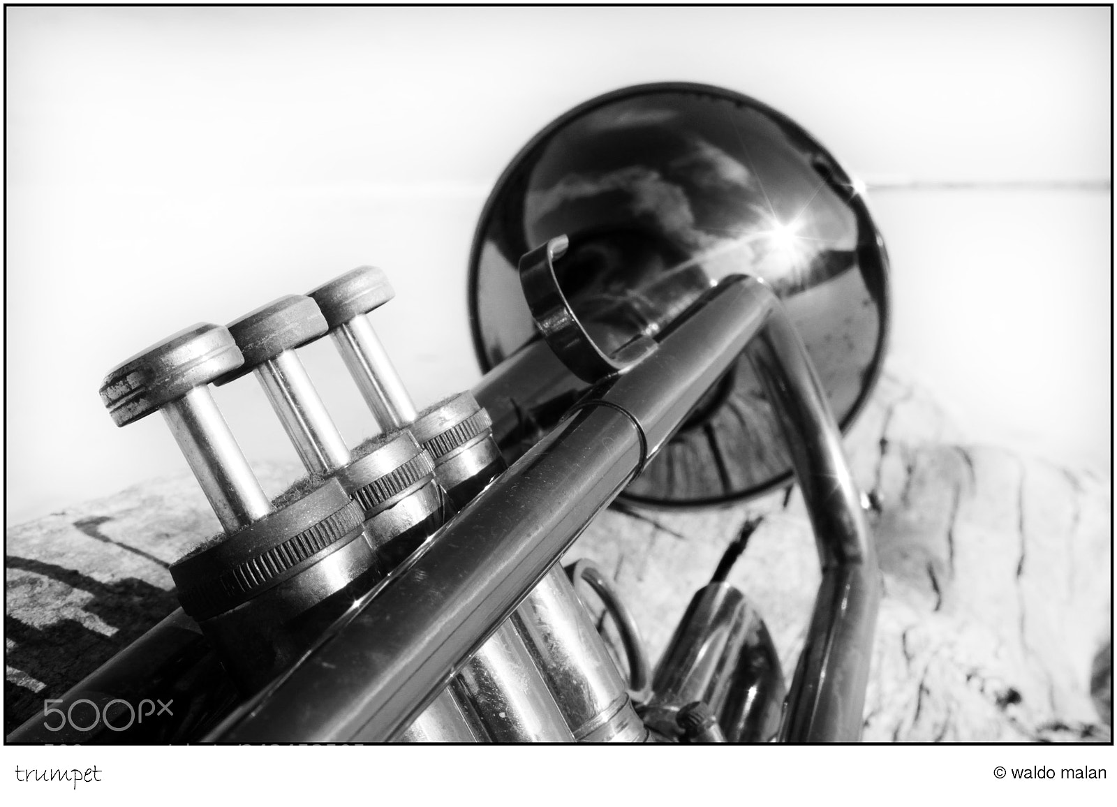 Canon EOS 550D (EOS Rebel T2i / EOS Kiss X4) sample photo. Trumpet photography
