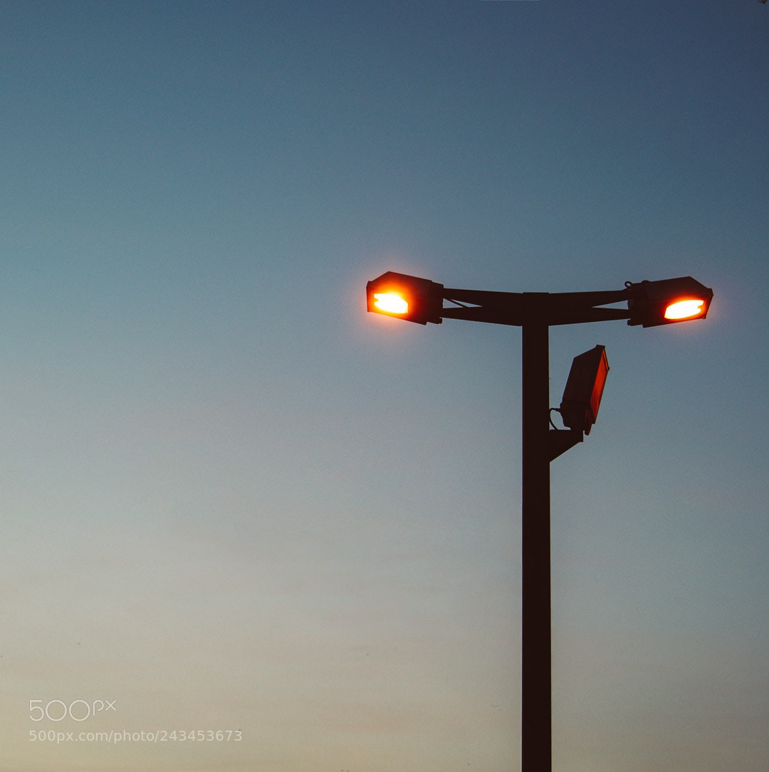 Sony Alpha DSLR-A230 sample photo. Lights photography