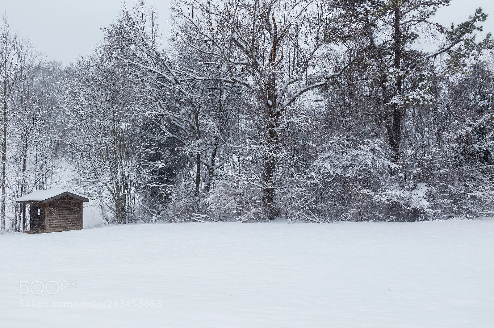 Canon EOS 7D Mark II sample photo. Snow covered cabin photography