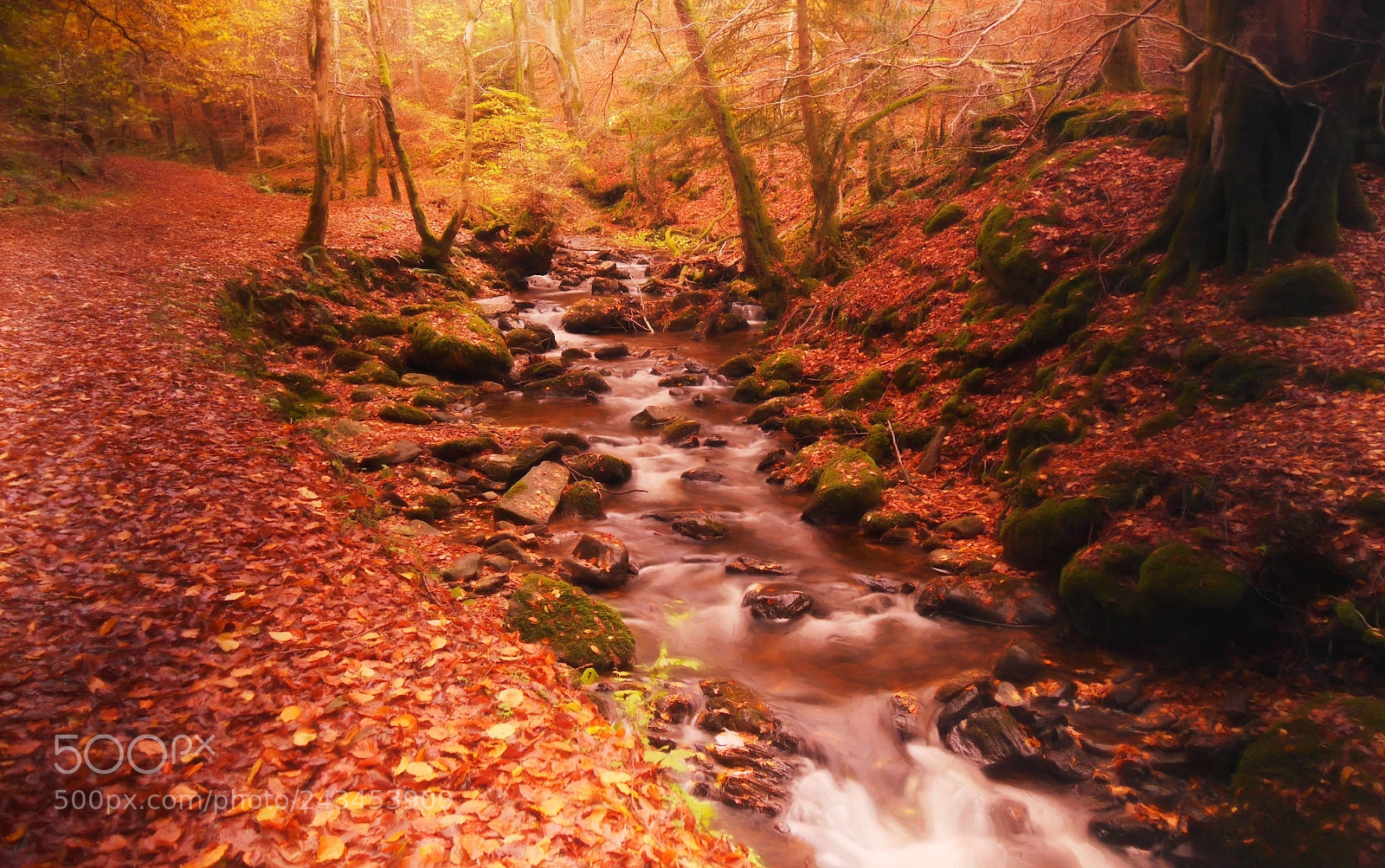 Panasonic Lumix DMC-G6 sample photo. Inchewan burn photography
