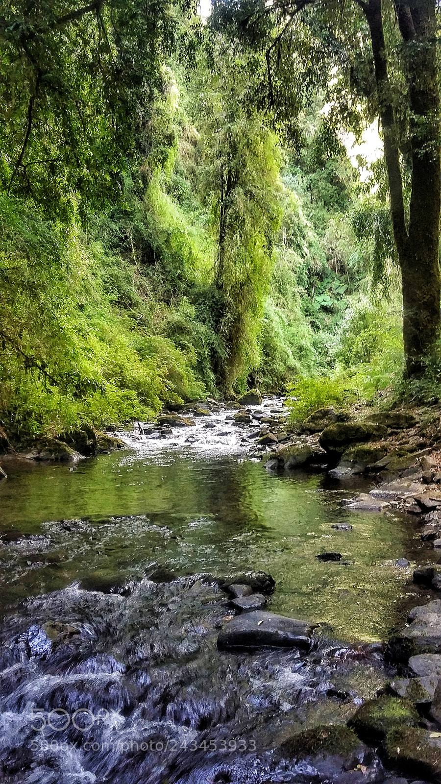 Samsung Galaxy Grand Prime sample photo. Naturaleza photography