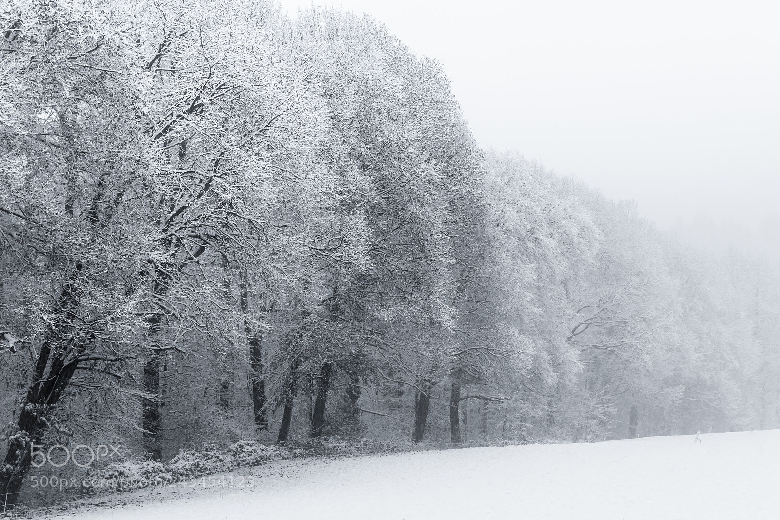 Nikon D5500 sample photo. Whiteout #1 photography