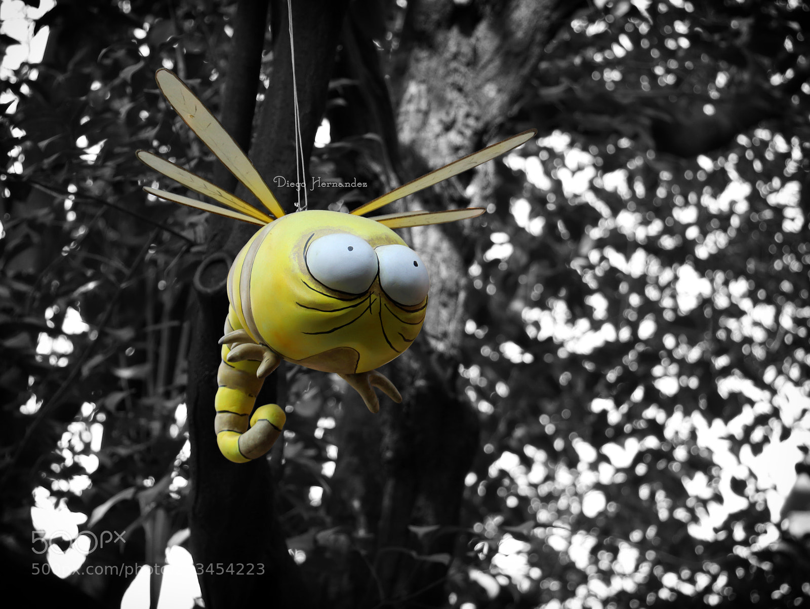 Canon EOS 800D (EOS Rebel T7i / EOS Kiss X9i) sample photo. Insecto en el museo photography