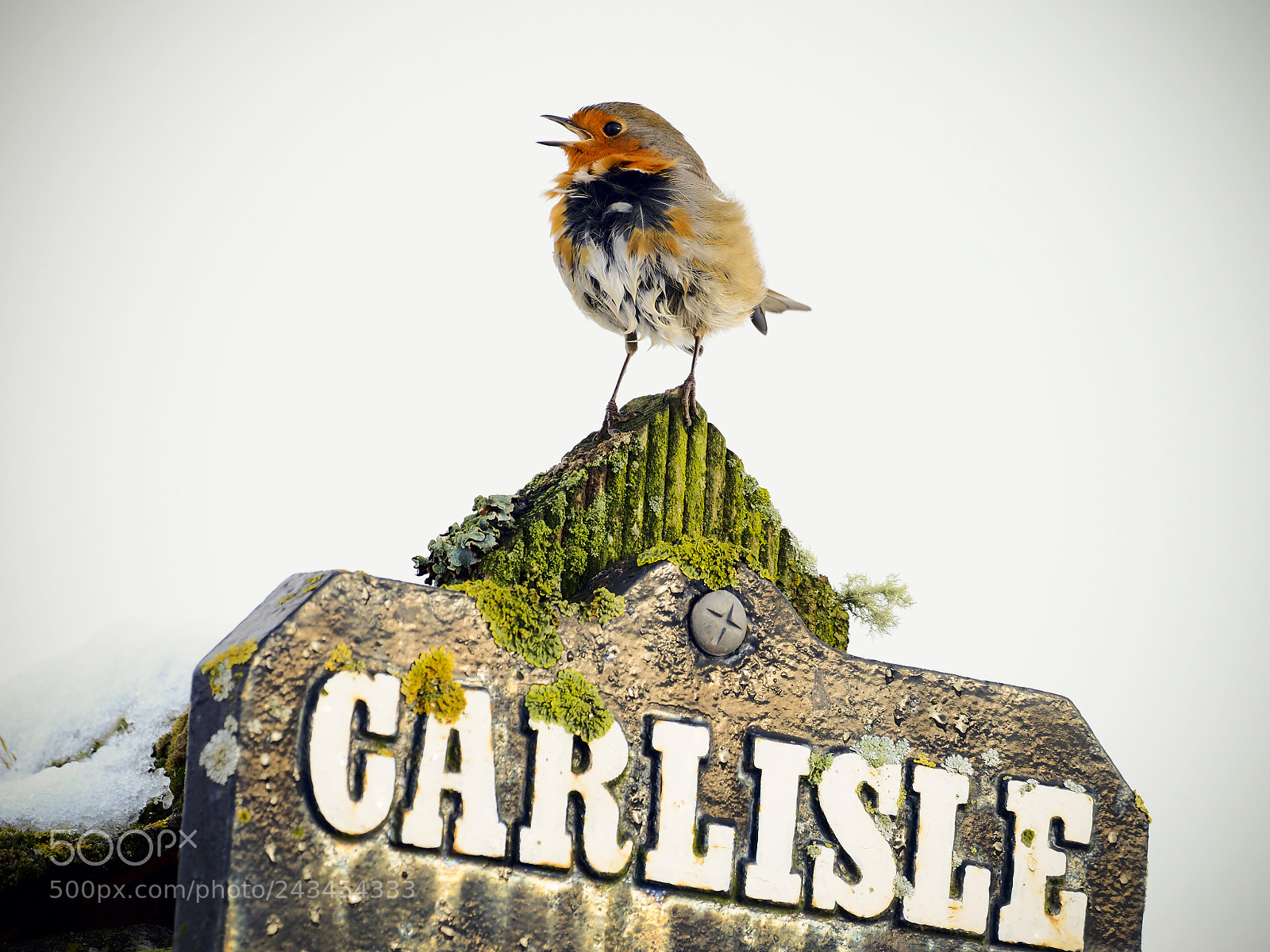 Olympus OM-D E-M1 sample photo. Next stop carlisle photography