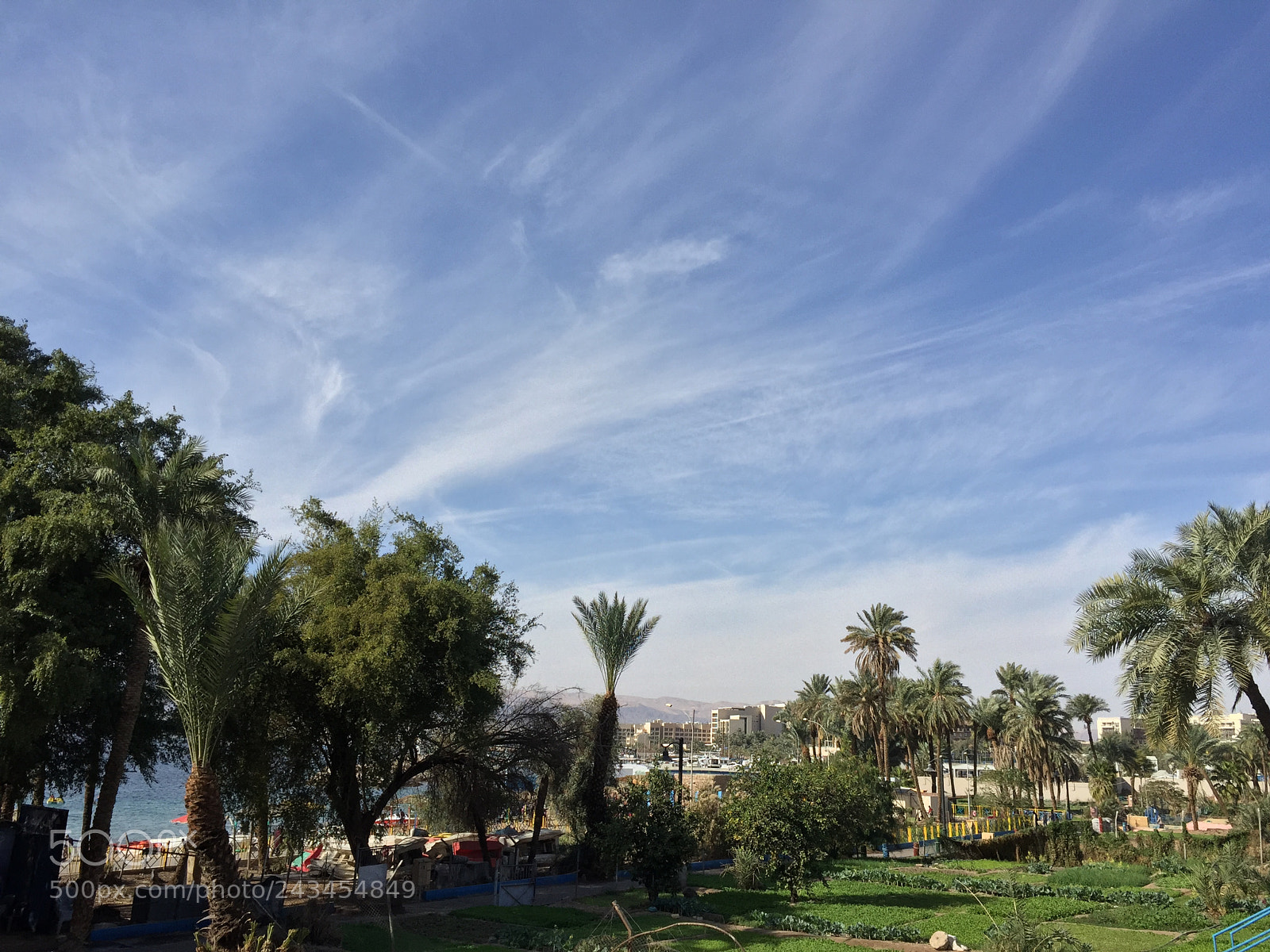Apple iPhone 6 sample photo. Aqaba city photography