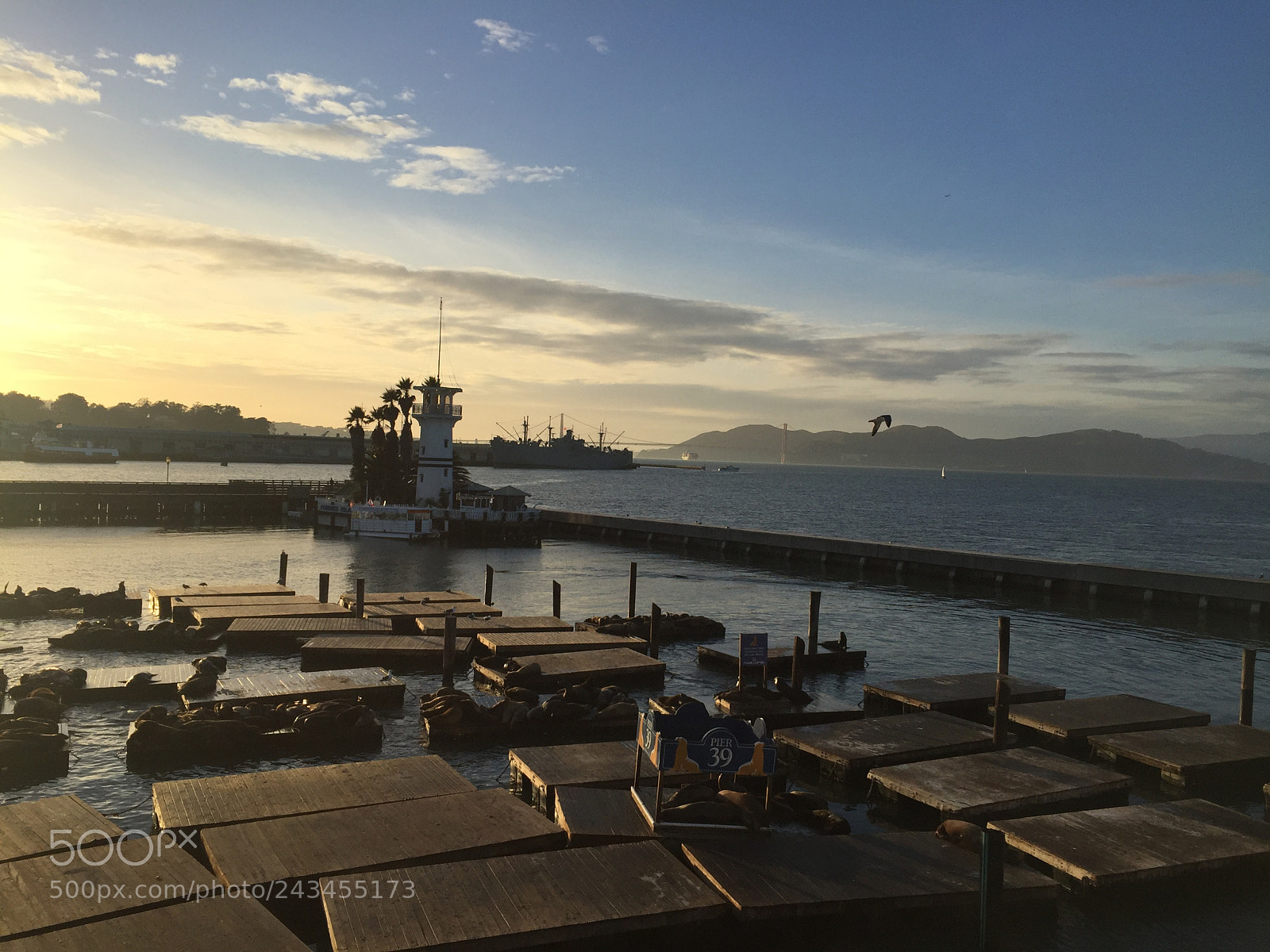 Apple iPhone 6 sample photo. Pier 39 photography