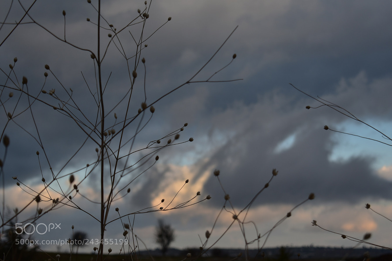 Nikon D3400 sample photo. Winter photography