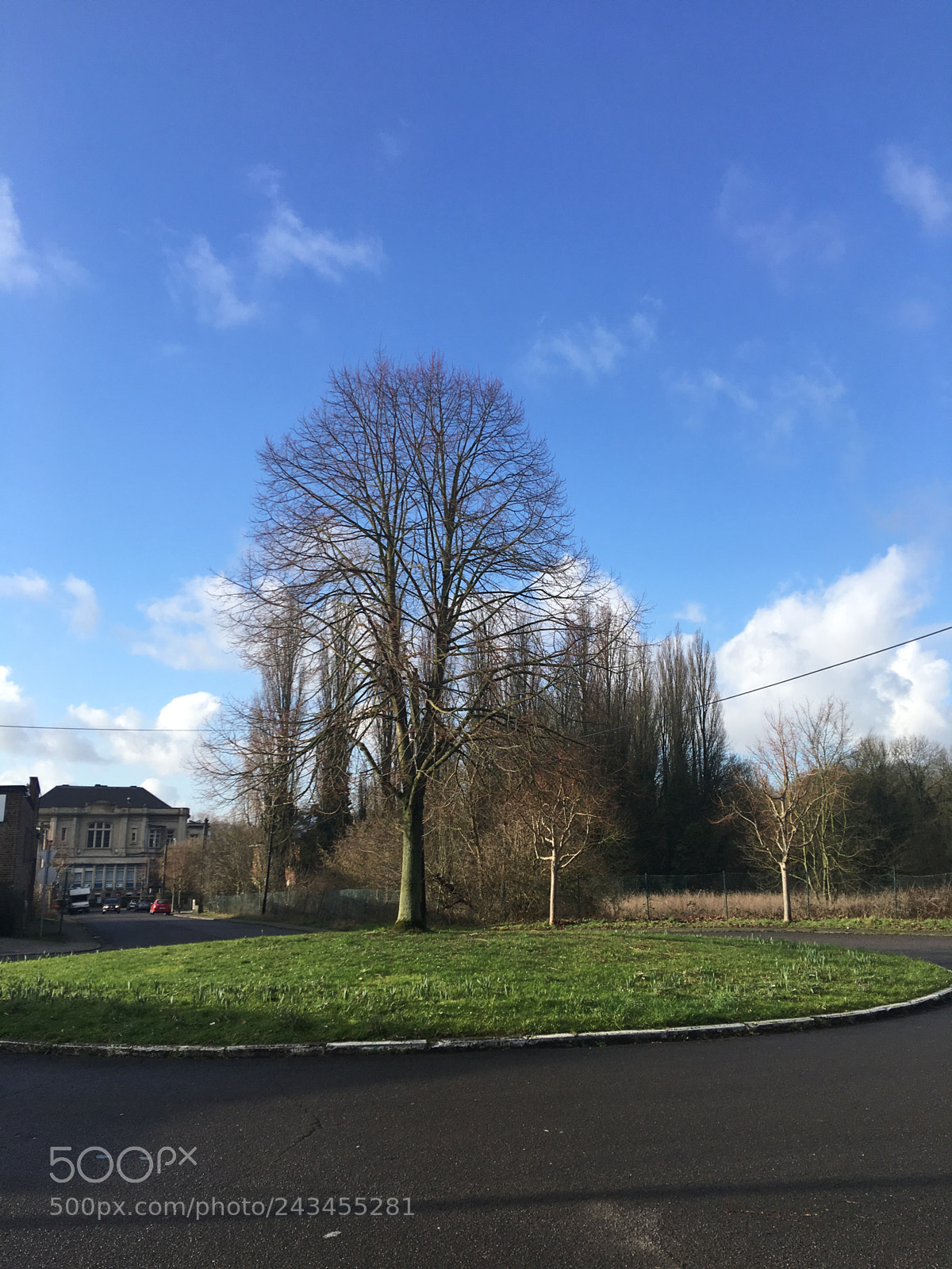 Apple iPhone 6s Plus sample photo. Untitled photography