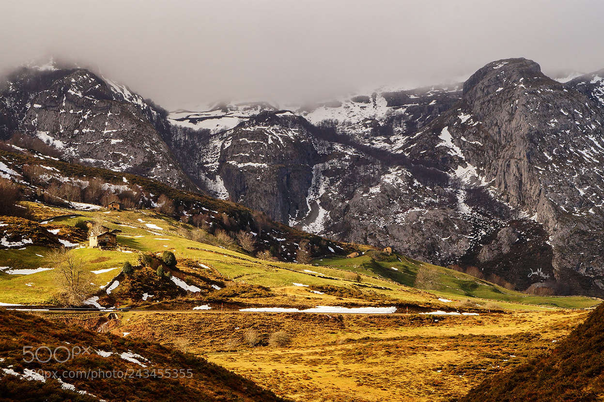 Sony SLT-A58 sample photo. Portillo de la s photography