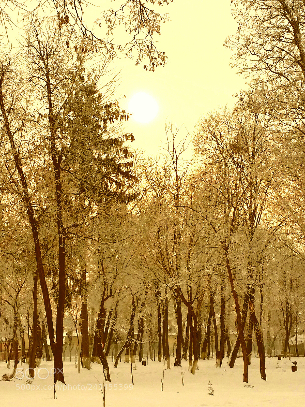 Samsung Galaxy S5 sample photo. Winter morning photography