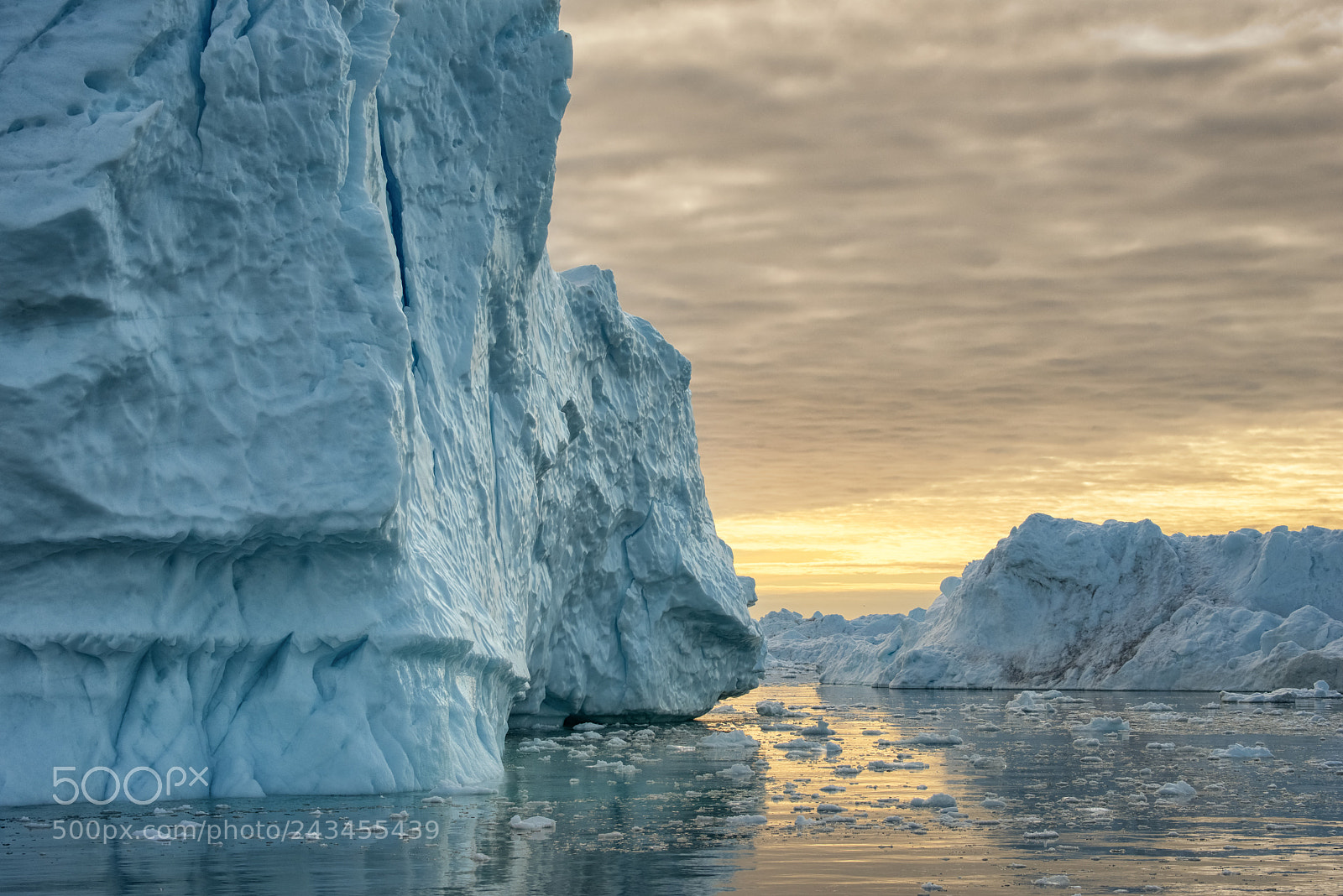 Nikon D800 sample photo. Greenland icebergs photography