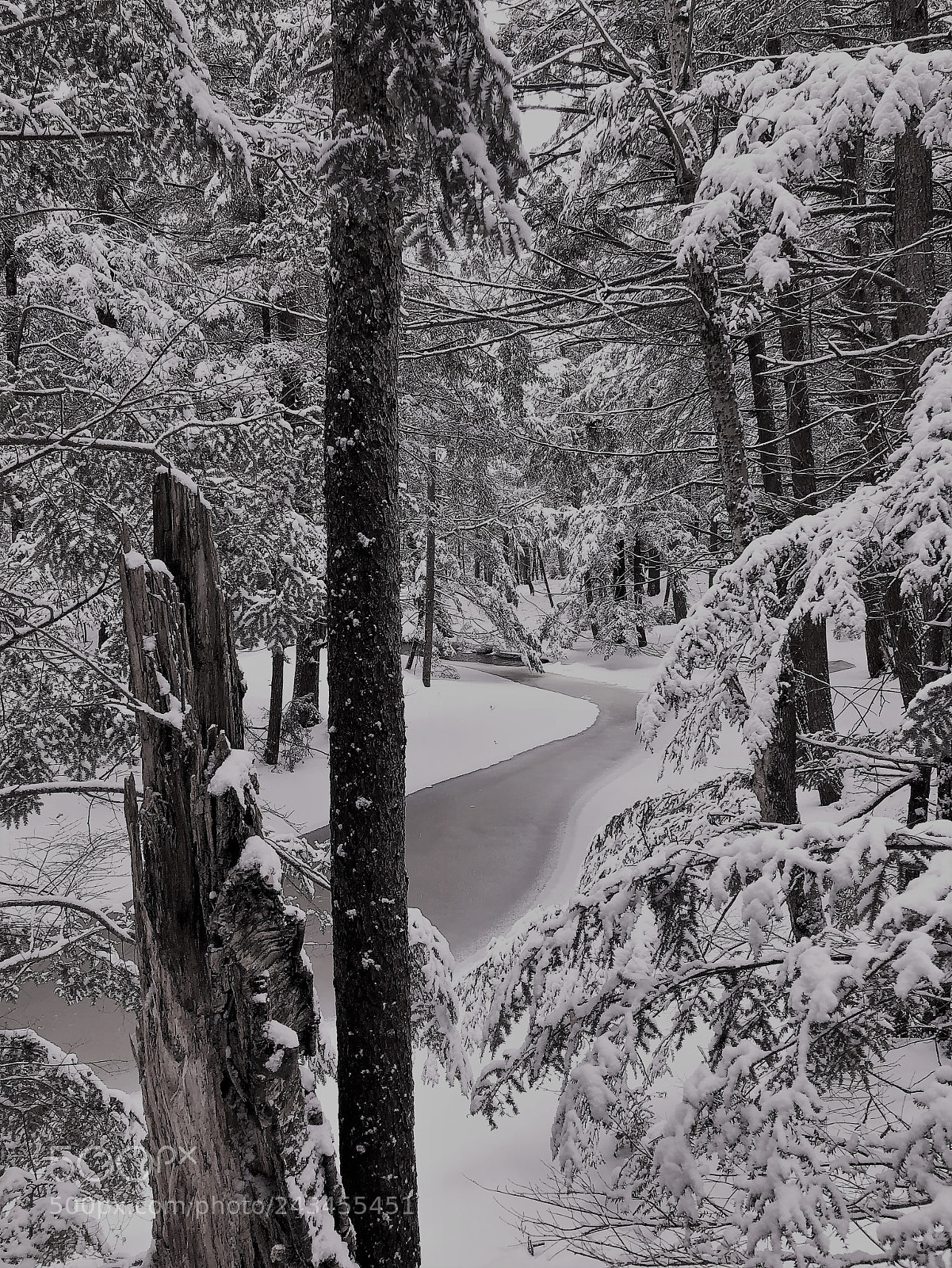 Apple iPhone X sample photo. B&w frozen river photography