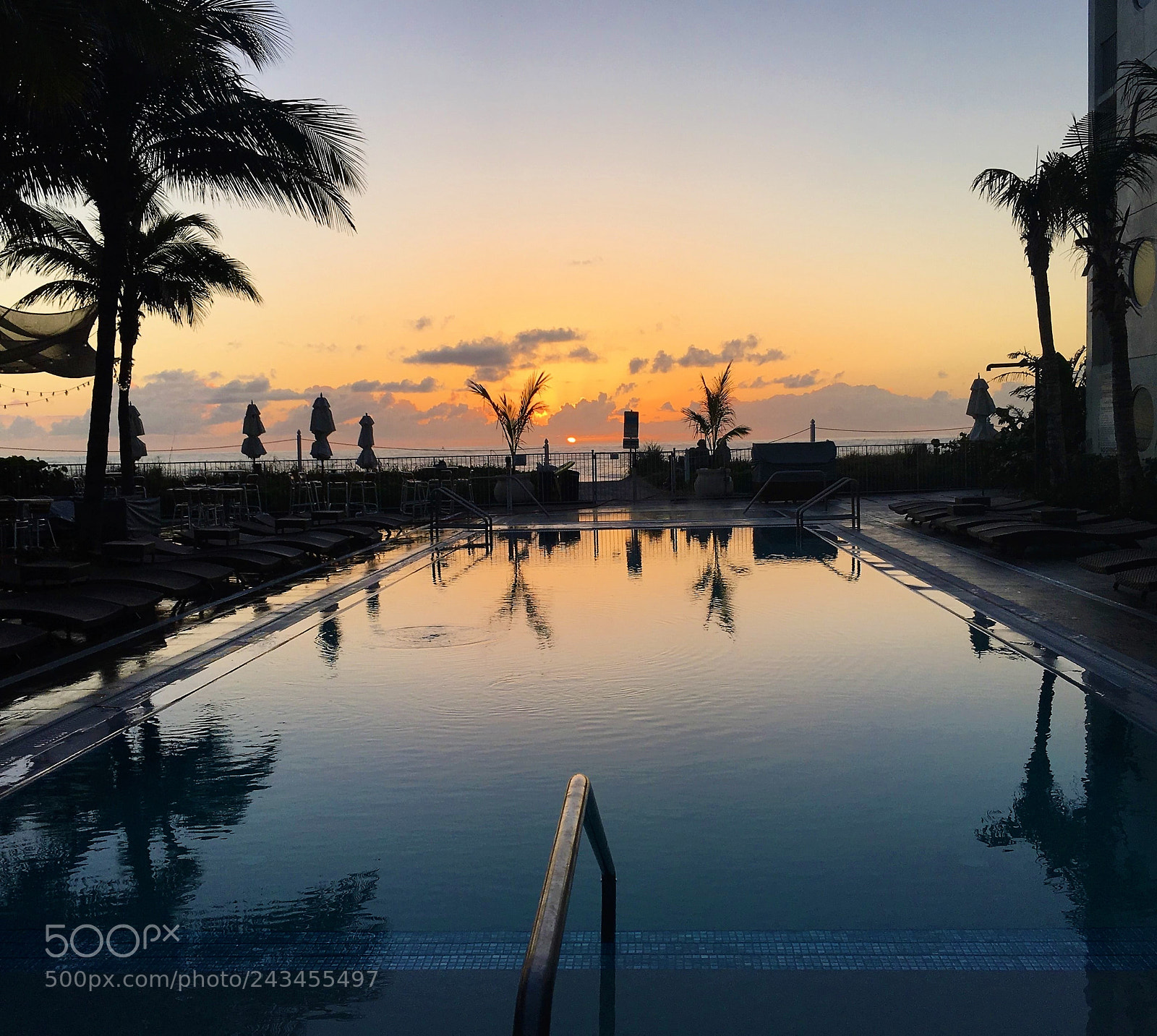 Apple iPhone 6s sample photo. Pools and palm trees photography
