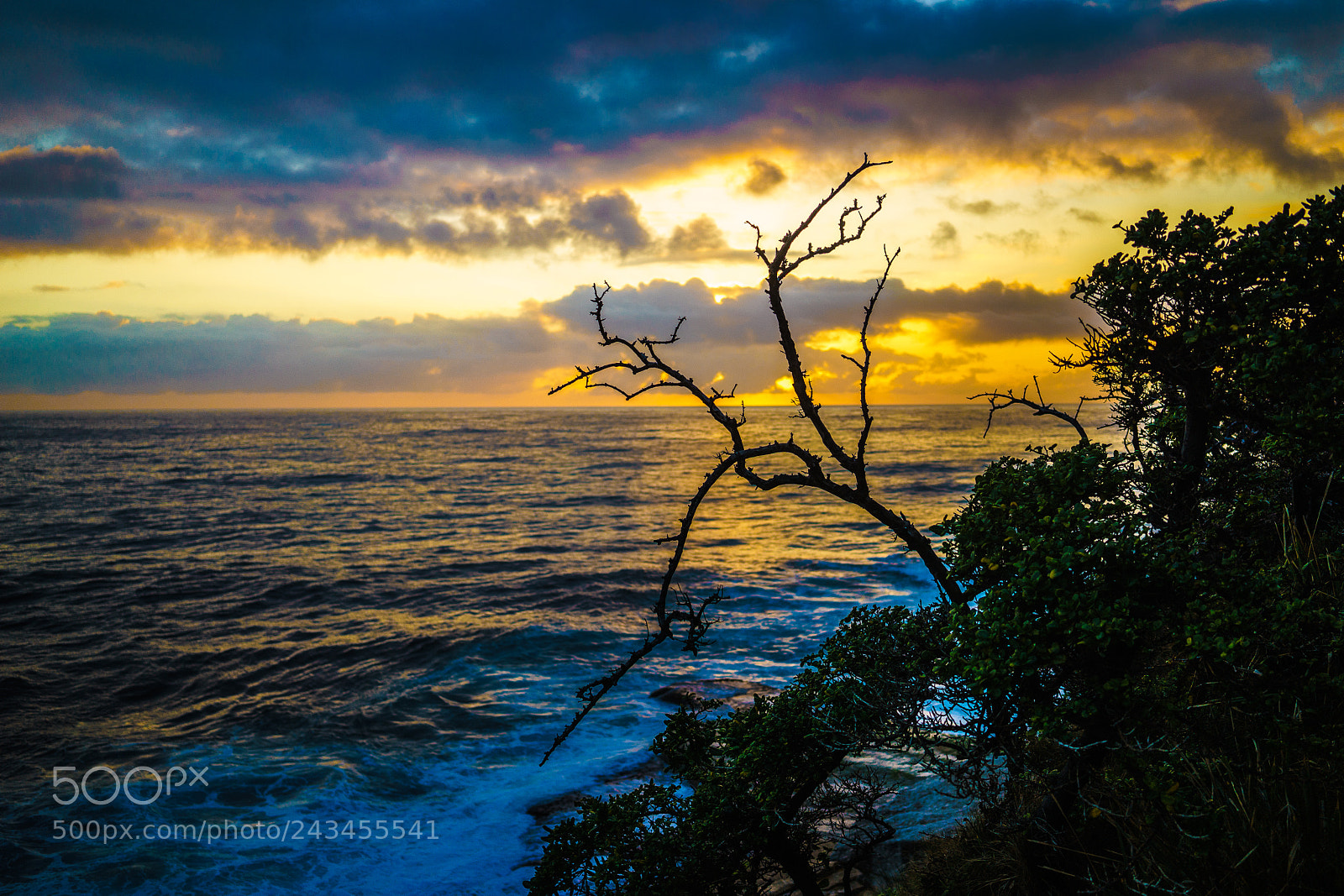 Sony a7 II sample photo. Sculpture by the sea photography