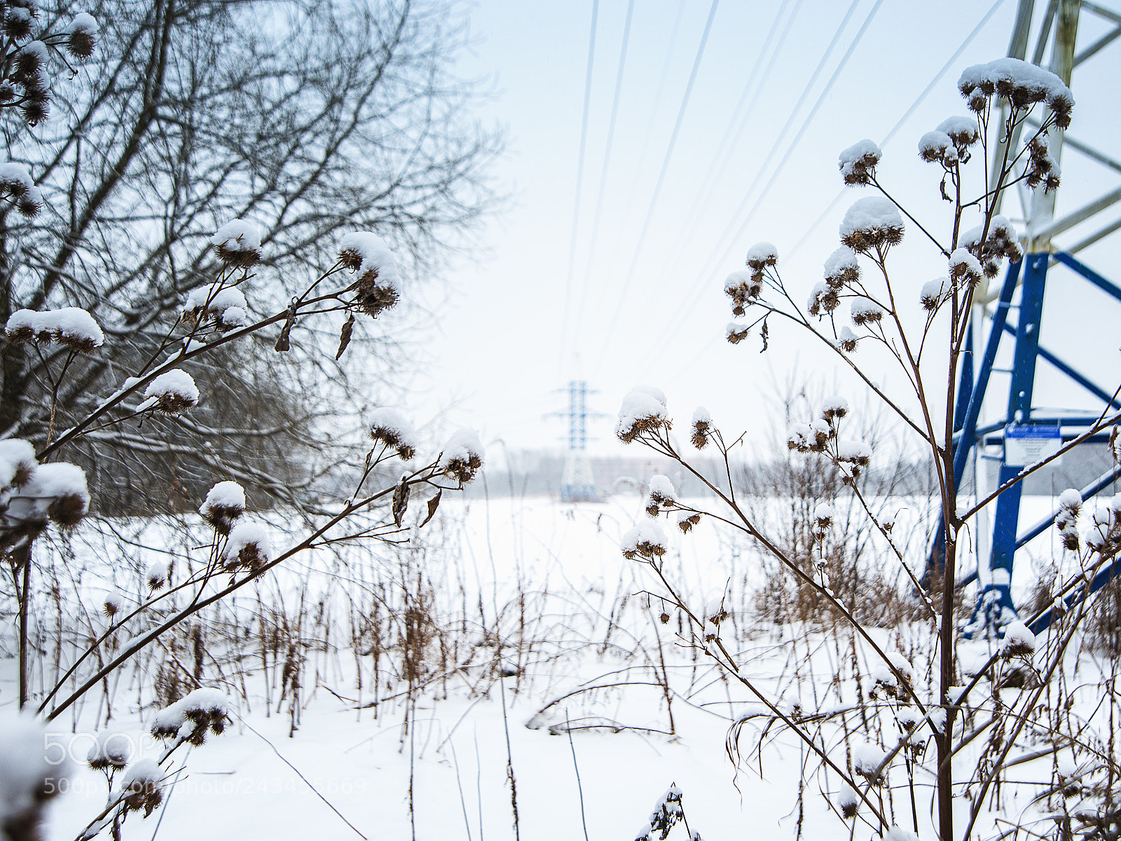 Nikon D610 sample photo. A little winter photography
